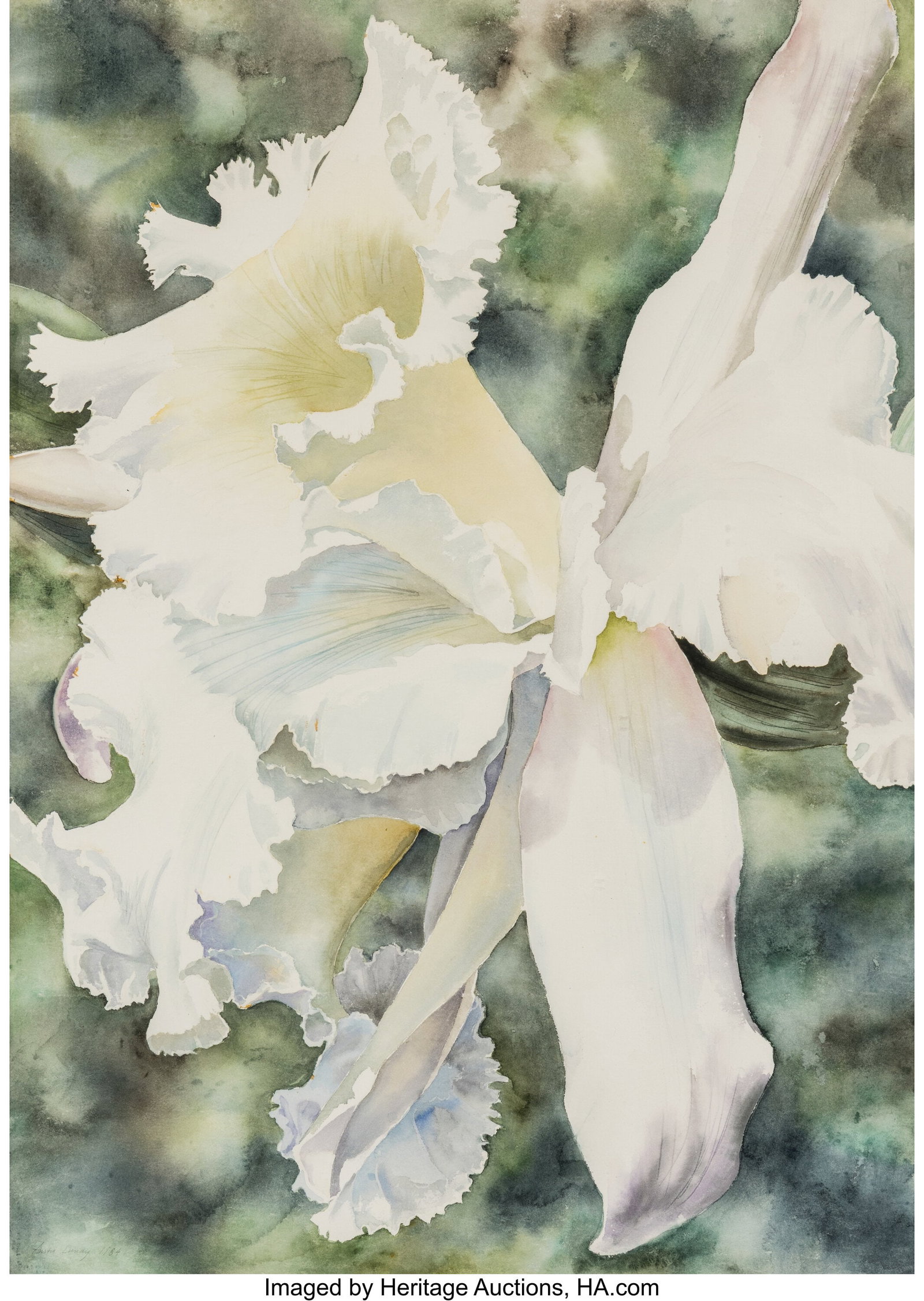 Anstis Lundy (American, 1924-2009) White Orchid,: Anstis Lundy (American, 1924-2009) White Orchid, 1984 Watercolor on paper 42 x 30 inches (106.7 x 76.2 cm) (sheet) Signed and dated in pencil lo
