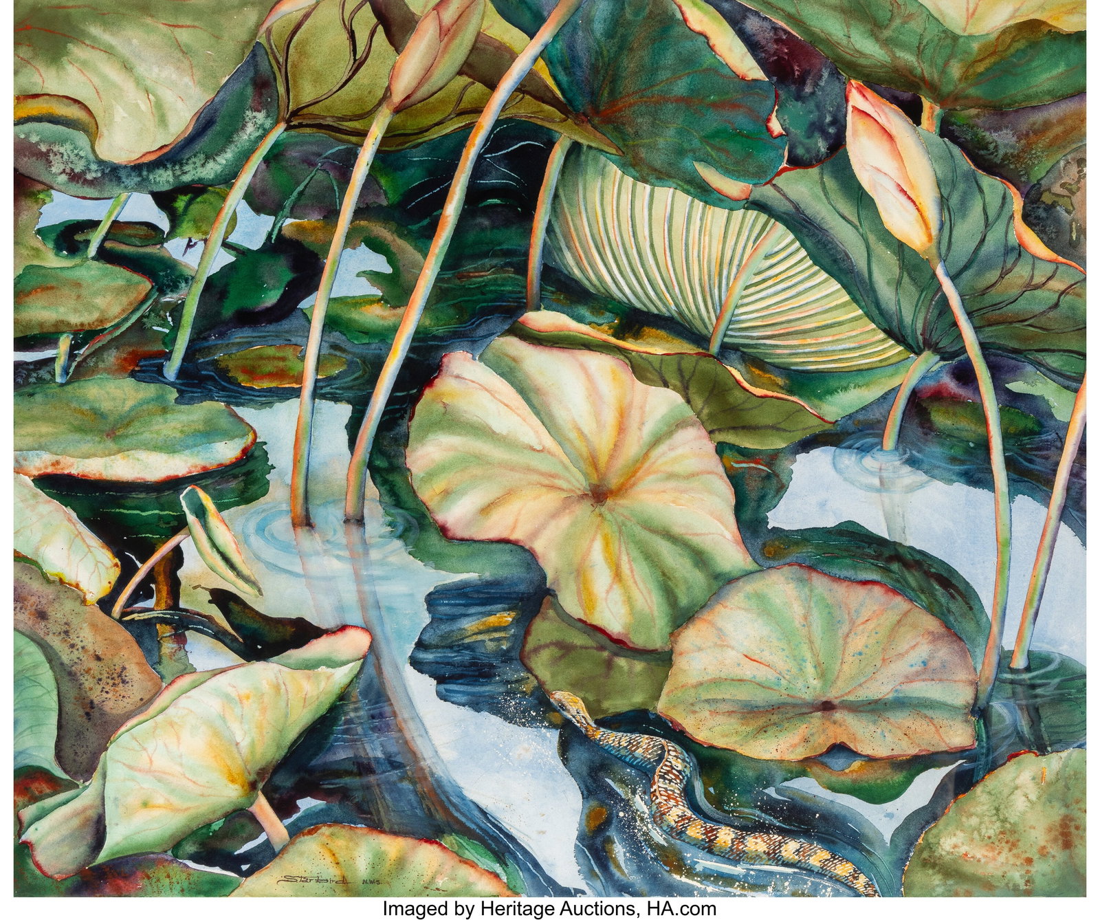 Maryanne Starbird (American, 20th Century) Eden : Maryanne Starbird (American, 20th Century) Eden East of Weimar Watercolor on wove paper 39 x 42 inches (99.1 x 106.7 cm) (sheet) Signed and inscribed 