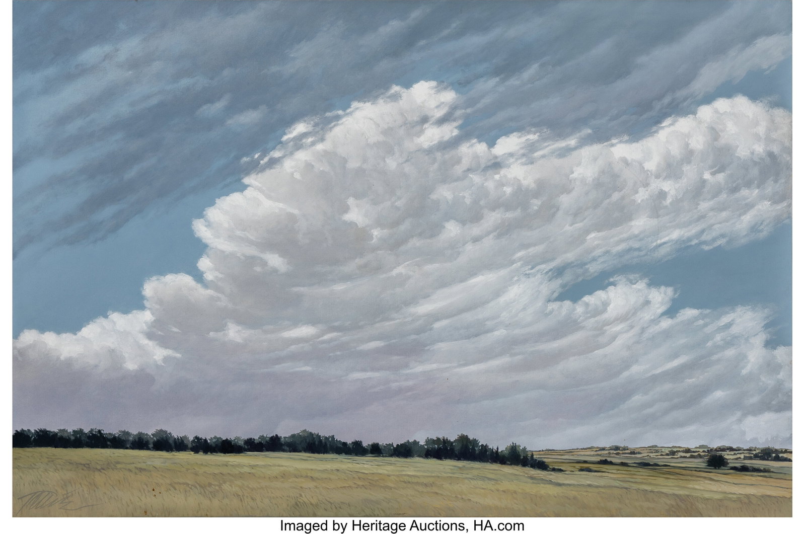 Tallie Lipscomb Moore (American, 20th Century) A: Tallie Lipscomb Moore (American, 20th Century) August Rain Cloud, 1983 Oil on canvas 40 x 60 inches (101.6 x 152.4 cm) Signed, titled, and dat