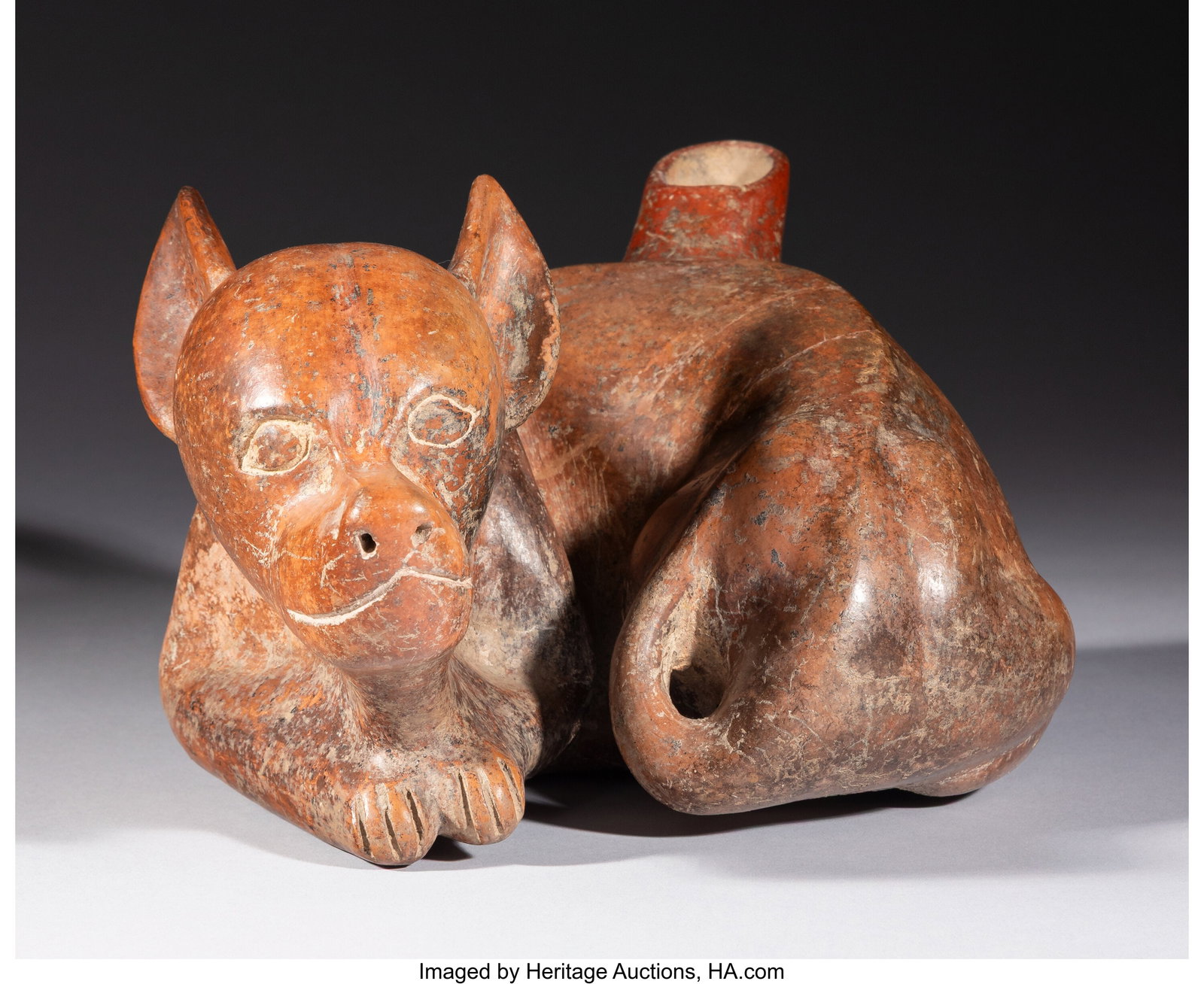 A Large Reclining Colima Dog West Mexico, c. 25 (1 of 4)