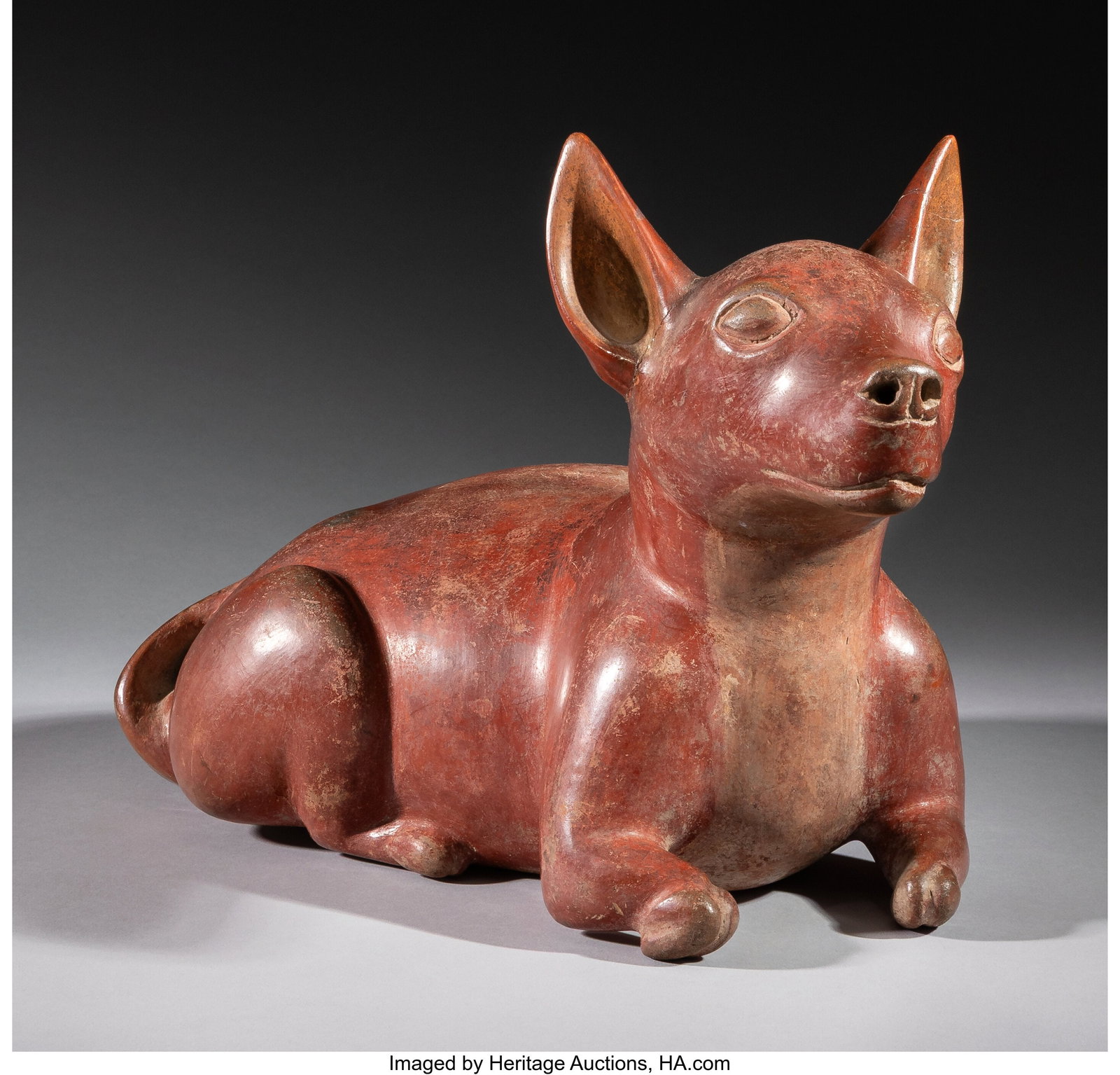 A Reclining Colima Dog West Mexico, c. 250 BC  (1 of 3)