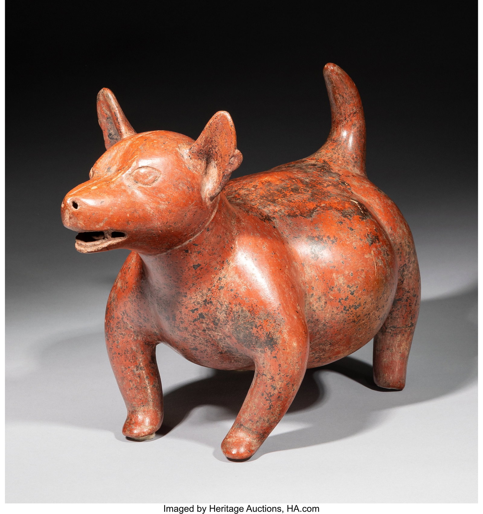 A Colima Dog West Mexico, c. 250 BC–250 AD  (1 of 6)