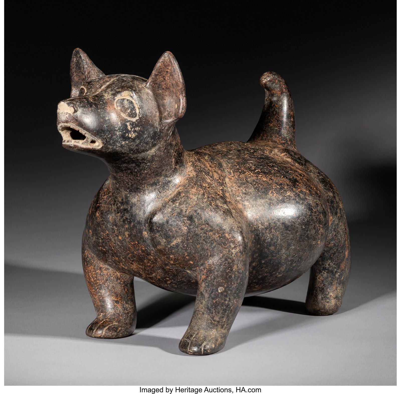 A Colima Dog West Mexico, c. 250 BC–250 AD  (1 of 6)