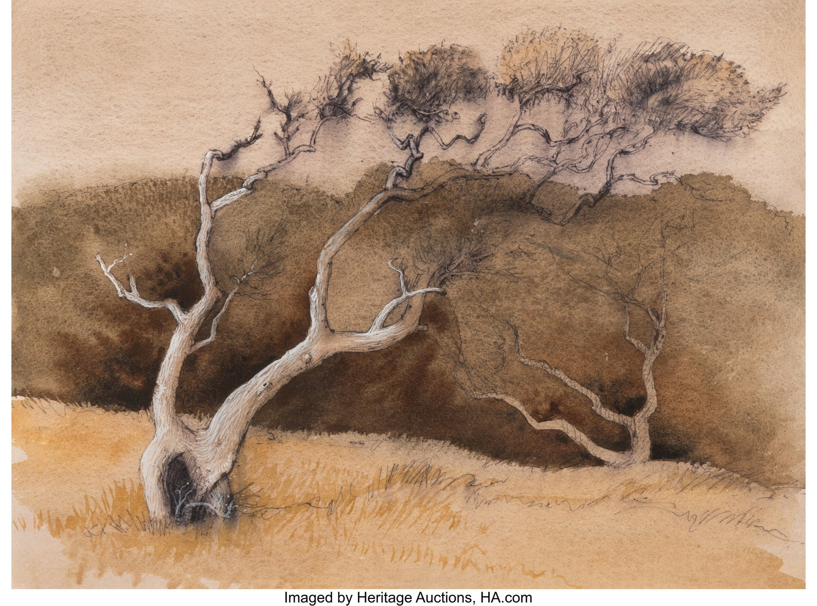 Perry Nichols (American, 1911-1992) Windswept Tr (1 of 3)