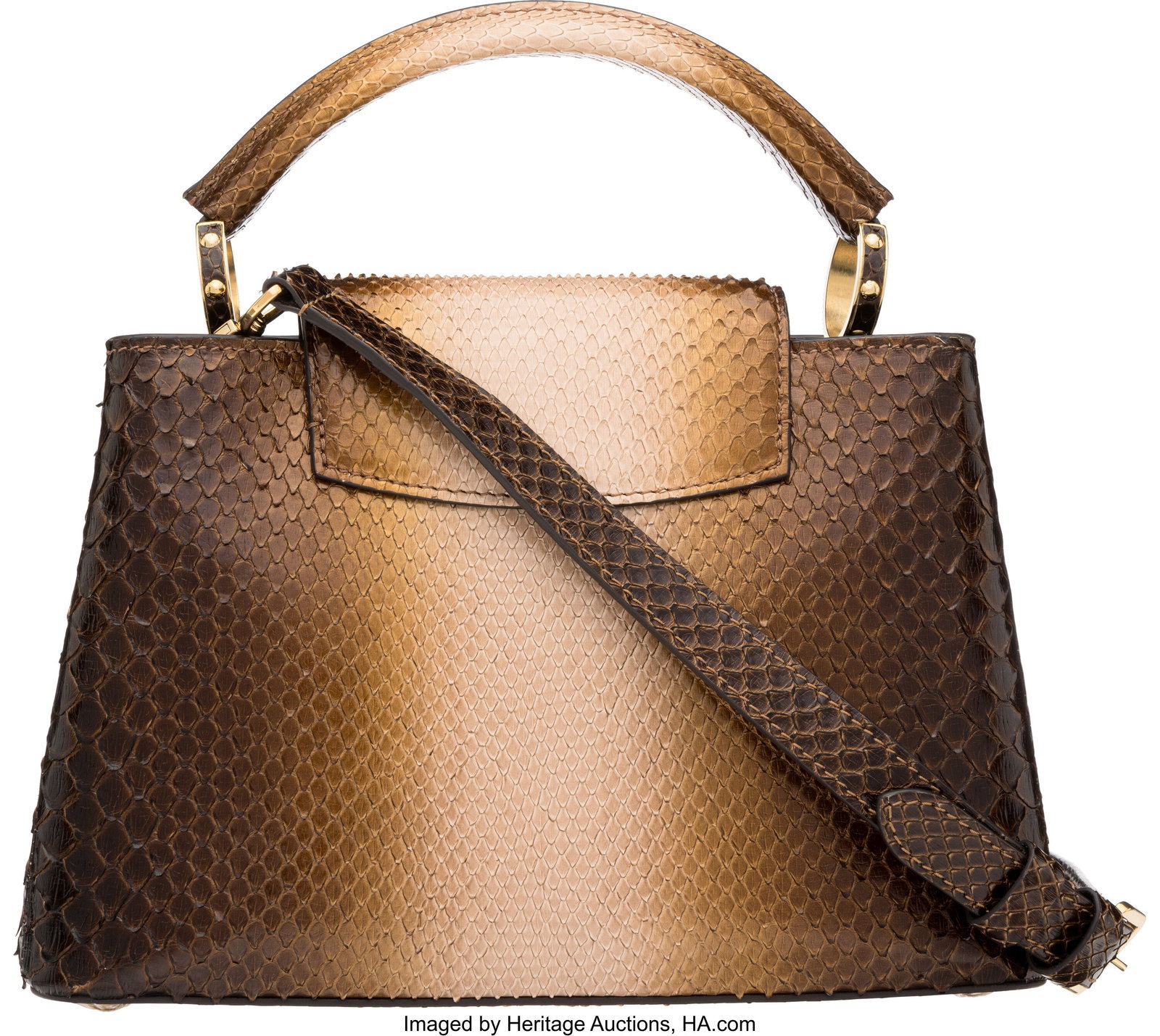 Louis Vuitton Metallic Brown Ombre Python Capuci - 2