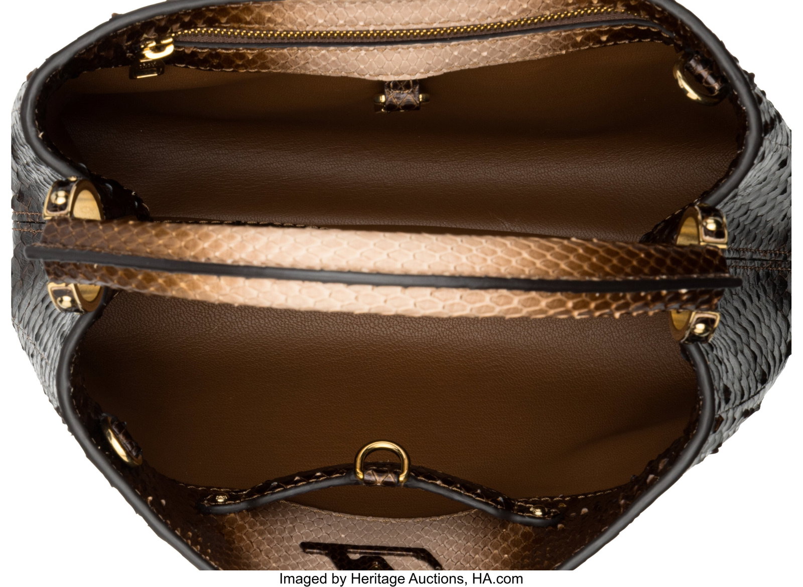 Louis Vuitton Metallic Brown Ombre Python Capuci - 4