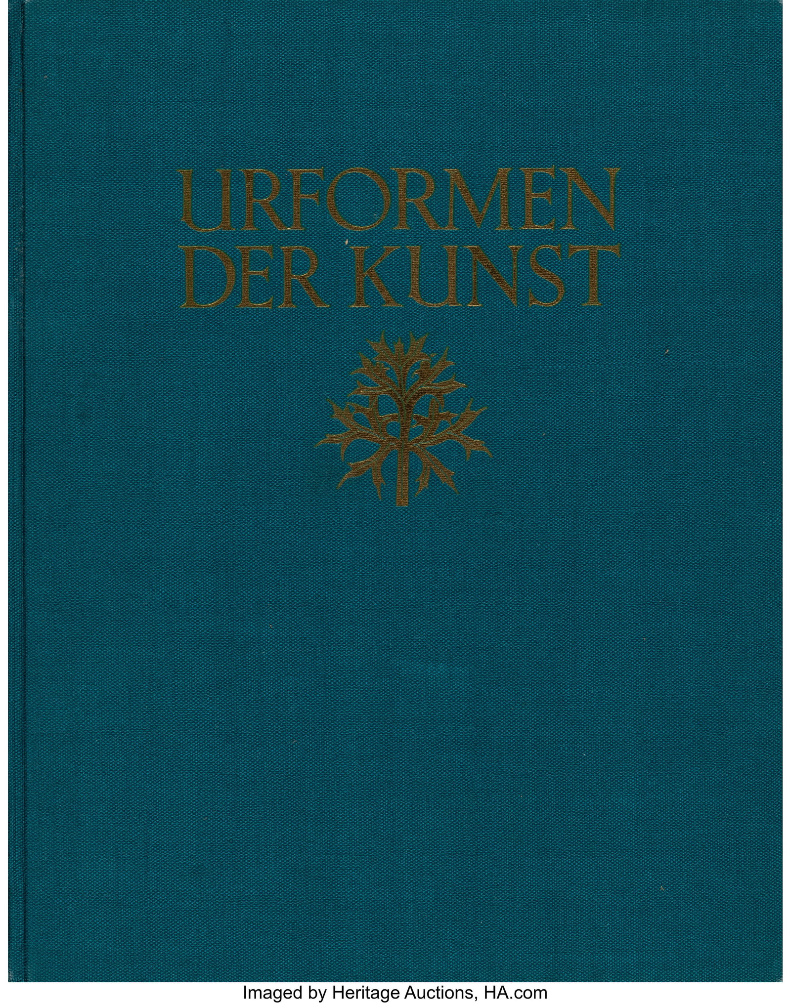 Karl Blossfeldt (German, 1865-1932) Urformen der (1 of 3)