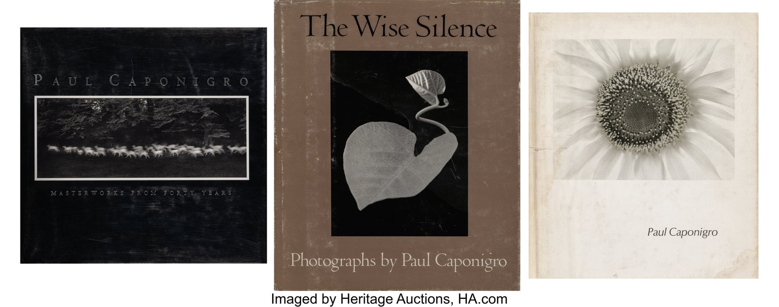 Paul Caponigro (American, 1932-2024) The Wise Si (1 of 7)