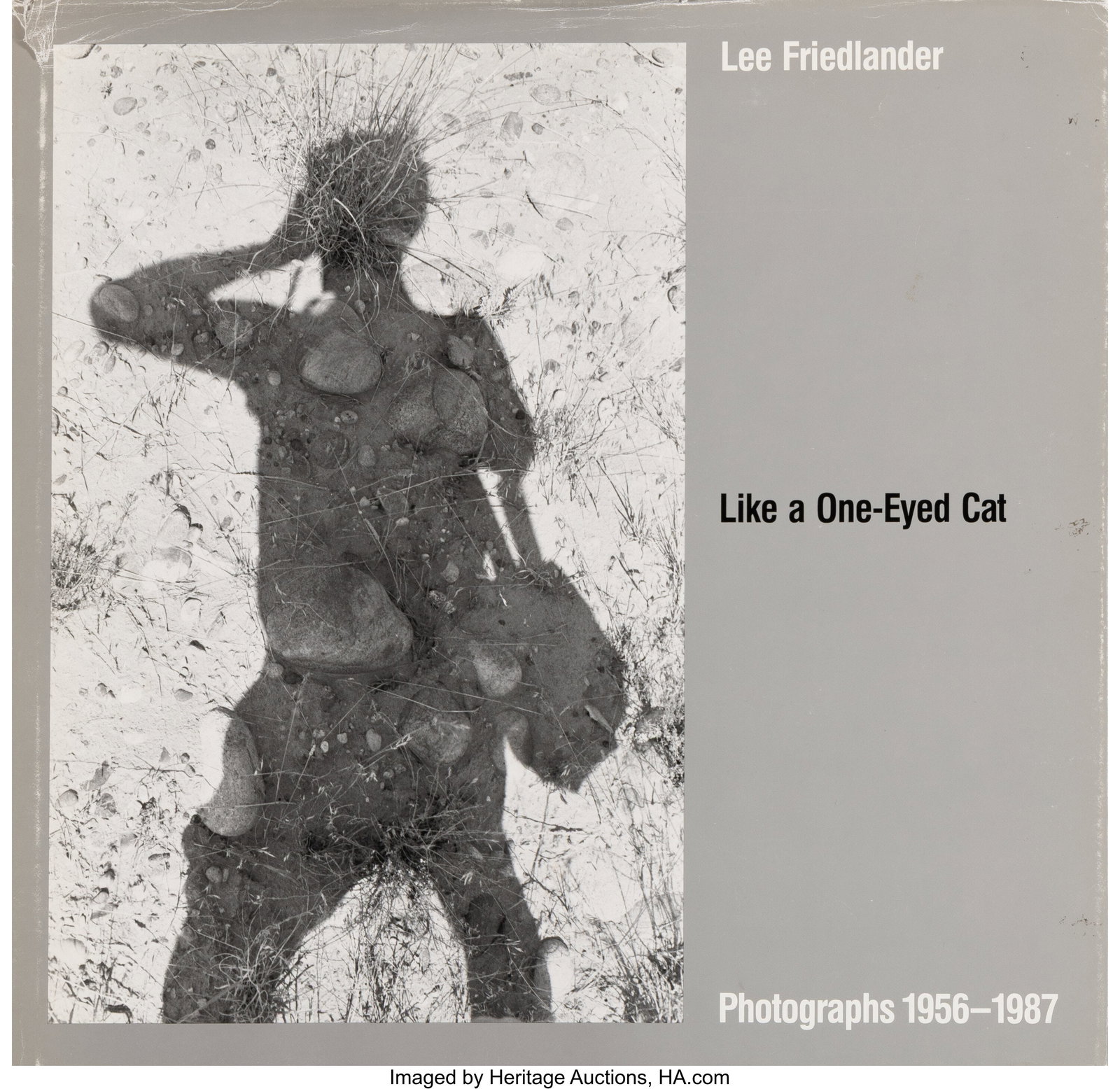 Lee Friedlander (American, b. 1934) Like a One-E (1 of 3)