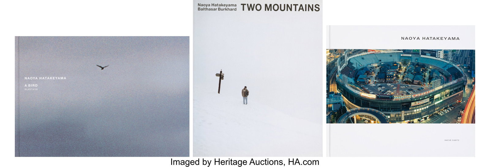 Naoya Hatakeyama (Japanese, b. 1958) Two Mountai (1 of 7)