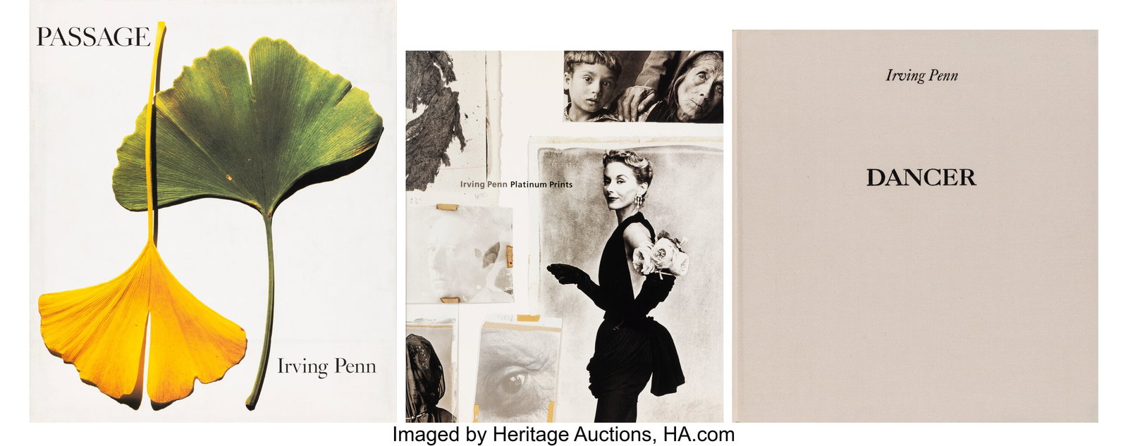 Irving Penn (American, 1917-2009) Passage; Plati (1 of 7)