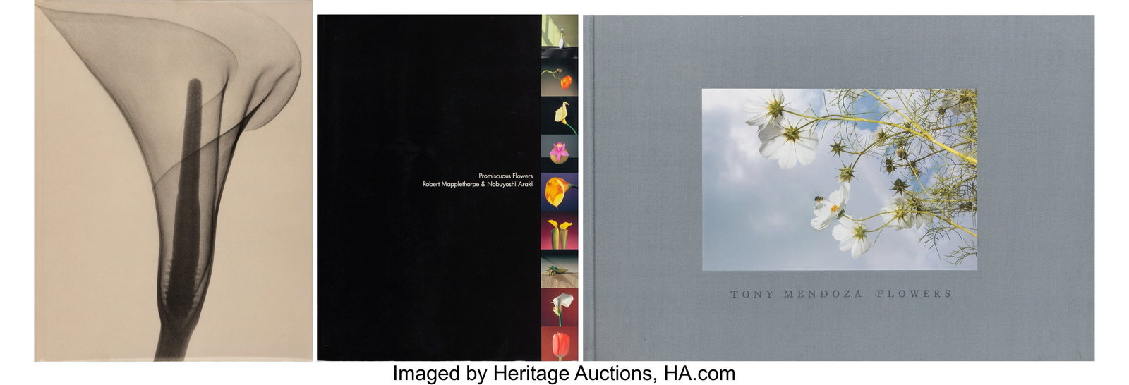 Various Artists (20th Century) Group of 3 photog: Various Artists (20th Century) Group of 3 photography books on flowers, 2000; 2003; 2007 4to hardcover and paperback books 12-1/2 x 18 inches (31.8 x 45&perio