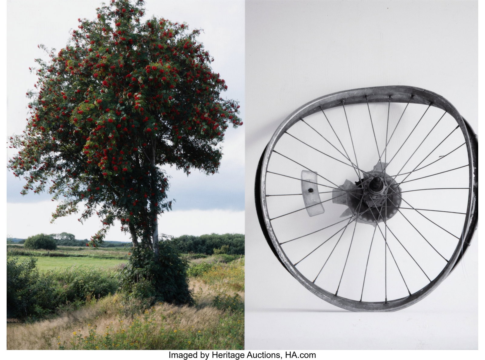 Josephine Meckseper (b. 1964) Untitled, 2014 Arc (1 of 3)
