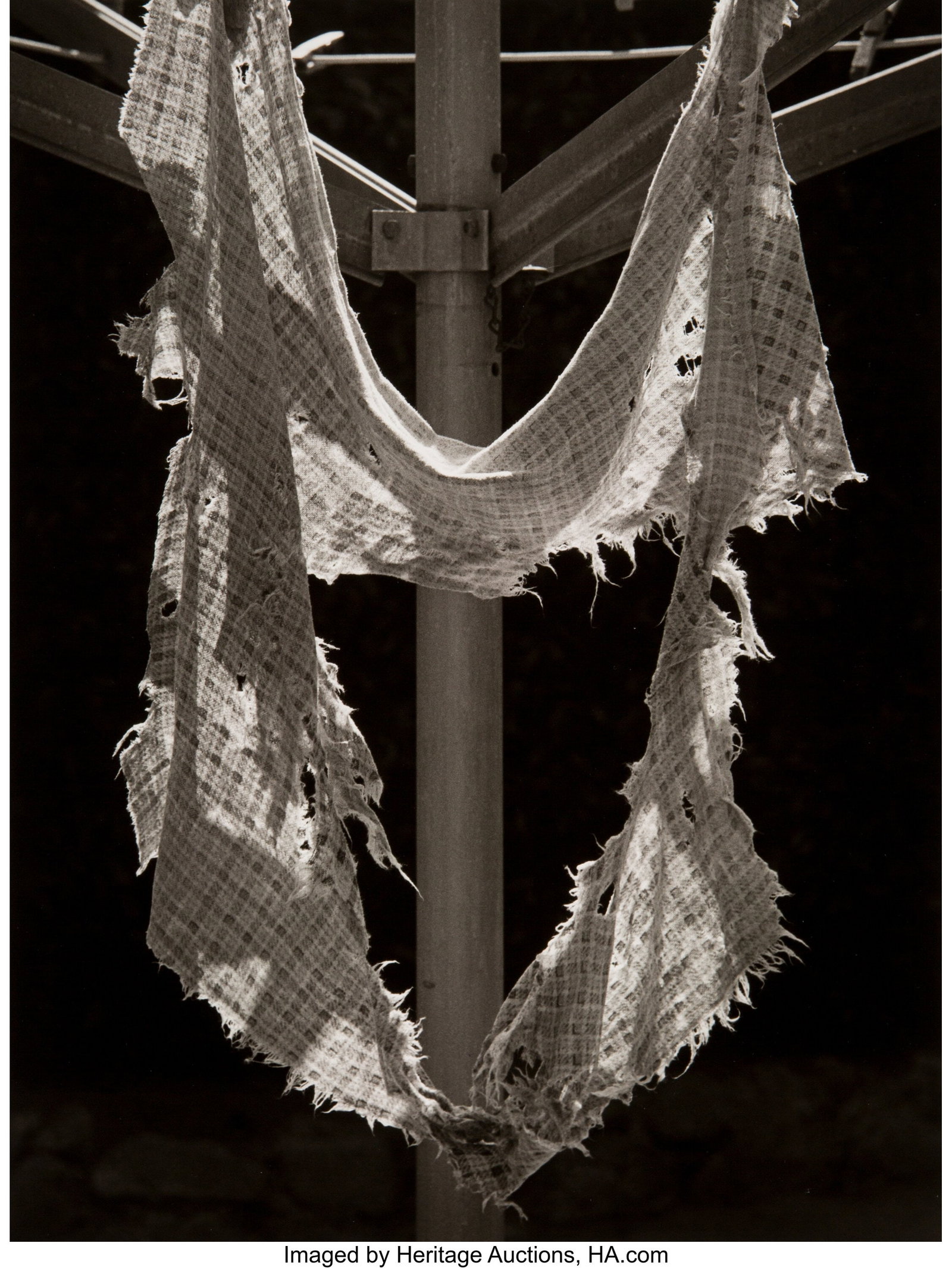 Ruth Bernhard (American, 1905-2006) Rag, 1971 Ge (1 of 3)