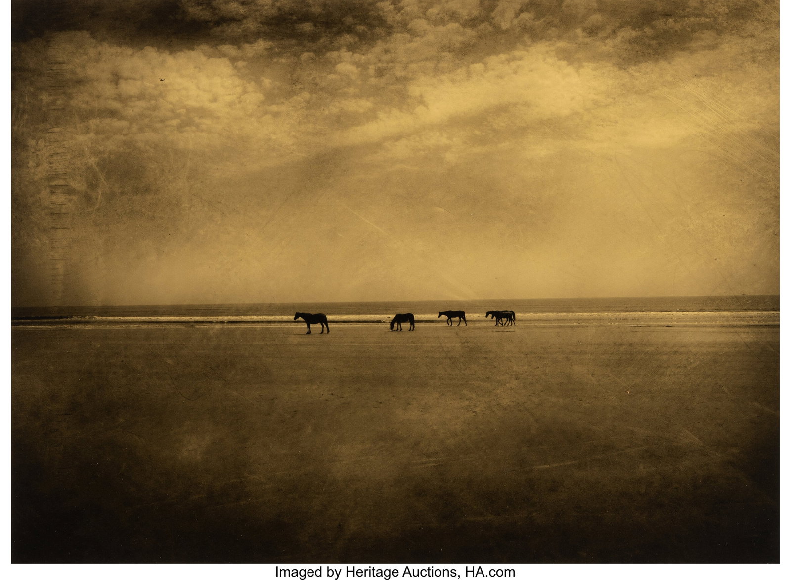 Jack Spencer (American, b. 1951) Horses, Cumberl: Jack Spencer (American, b. 1951) Horses, Cumberland Island, 2005 Digital pigment print 14 x 19 inches (35.6 x 48.3 cm) (image) 17 x