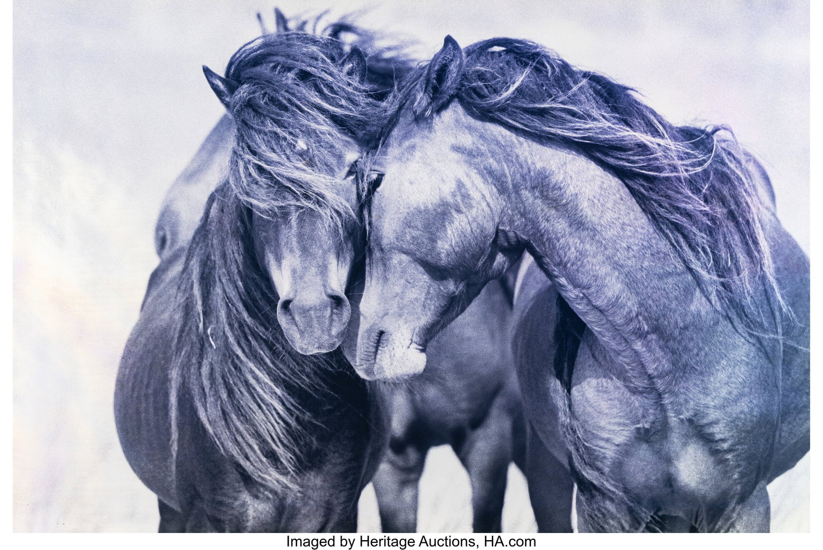 Roberto Dutesco (Canadian, b. 1961) Love, 1996 D: Roberto Dutesco (Canadian, b. 1961) Love, 1996 Digital pigment print, printed 2012 24 x 36 inches (61.0 x 91.4 cm) (image/sheet&rpar