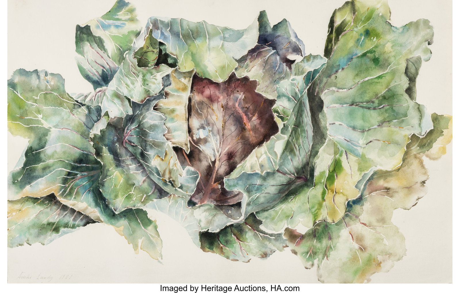 Anstis Lundy (American , 1924-2009) Cabbage, 198: Anstis Lundy (American , 1924-2009) Cabbage, 1981 Watercolor on paper 25-3/4 x 40 inches (65.4 x 101.6 cm) (sheet) Signed and dated lower le