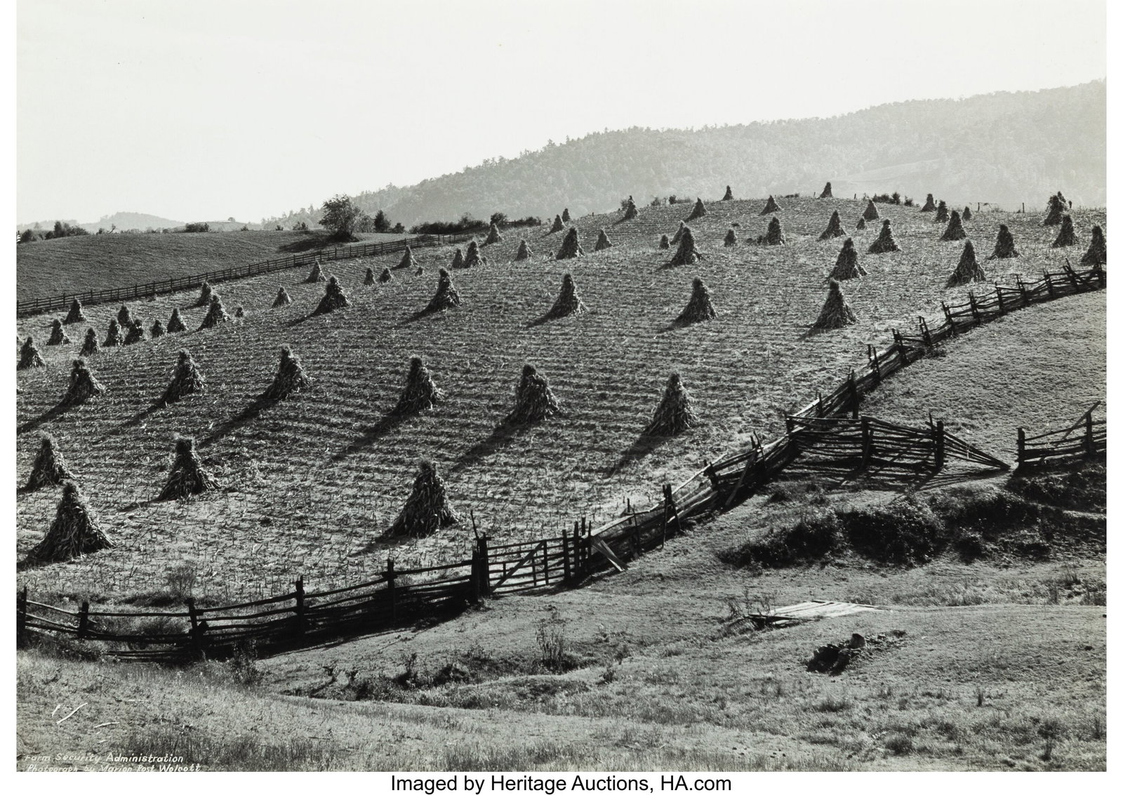 Marion Post Wolcott (American, 1910-1990) Split : Marion Post Wolcott (American, 1910-1990) Split Rail Fences + Corn Shocks Near Marion, West Virginia, 1939 Gelatin silver print 13-3/4 x 19-1/4 inches (34