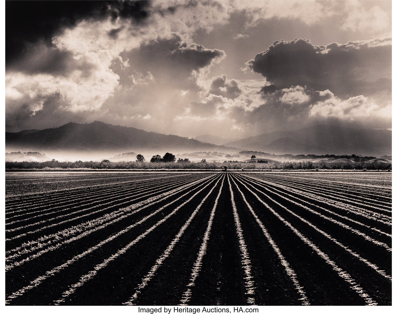 Roman Loranc (Polish/American, b. 1956) April Sh: Roman Loranc (Polish/American, b. 1956) April Showers, 2005 Gelatin silver print, printed 2006 15 x 18-3/4 inches (38.1 x 47.6 cm) &l