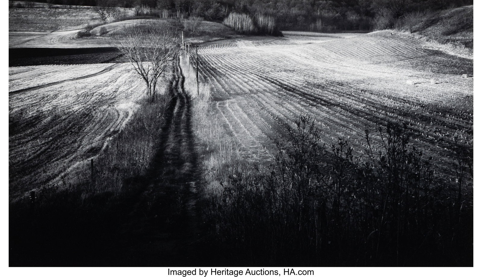 Paul Vanderbilt (American, 1905-2005) Field Road: Paul Vanderbilt (American, 1905-2005) Field Road, Early December, Near Black Earth, Wisconsin, 1962 Gelatin silver print, printed 1976 8-3/8 x 15-1&so