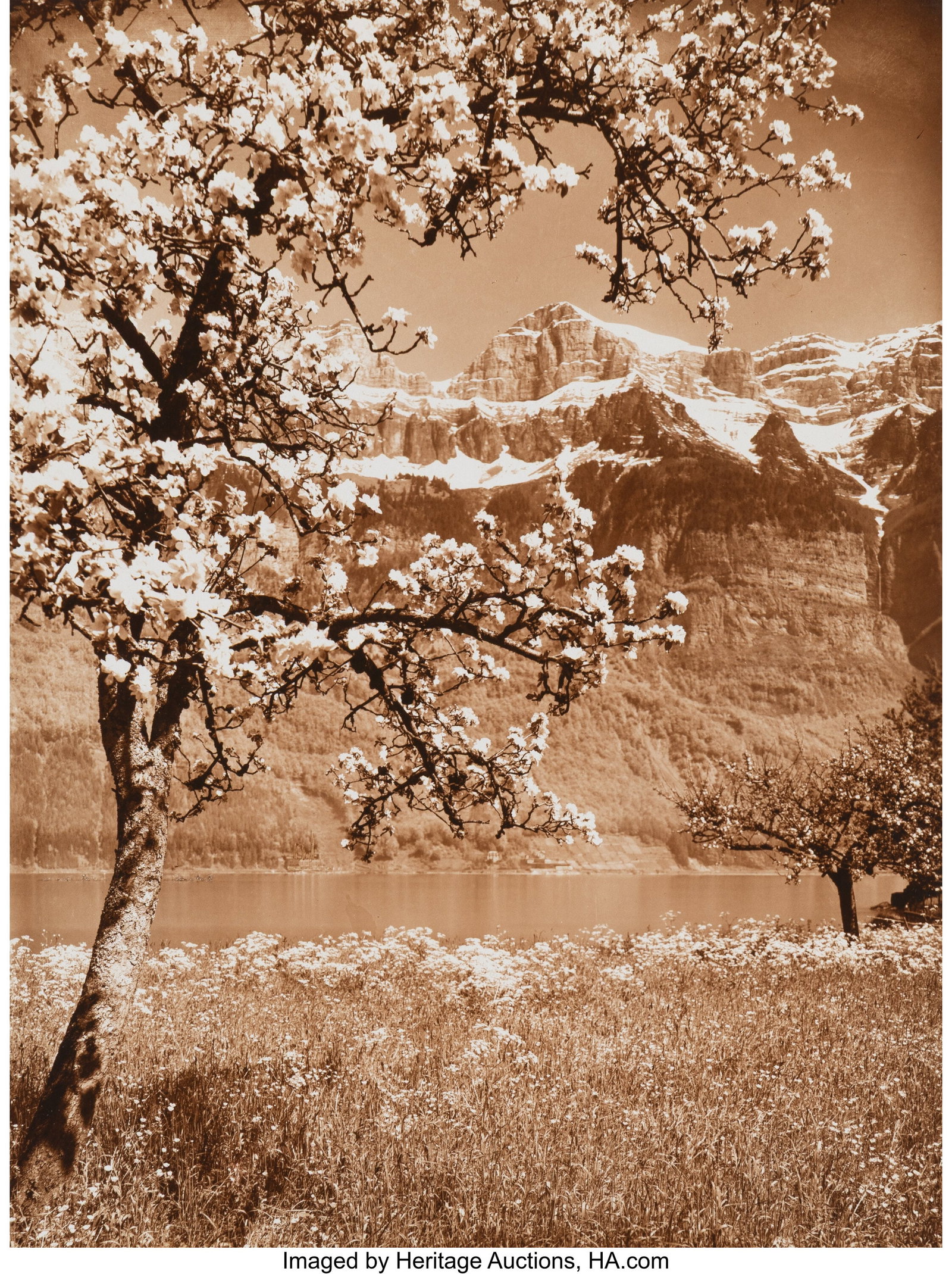 Albert Steiner (American, 1877-1965) Swiss Mount (1 of 3)