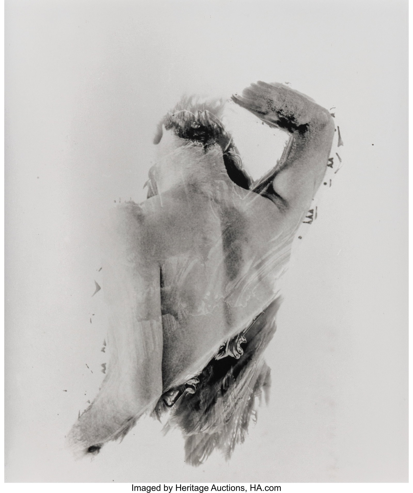 Sadegh Tirafkan (Iranian, b. 1965) Untitled (Bac: Sadegh Tirafkan (Iranian, b. 1965) Untitled (Back) Gelatin silver print 24 x 19-1/2 inches (61.0 x 49.5 cm) Signed, dated, and 