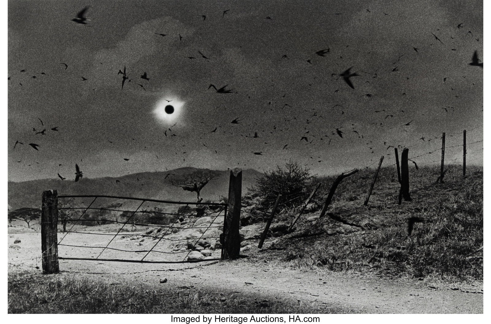 Antonio Turok (Mexican, b. 1955) Eclipse Solar,  (1 of 2)