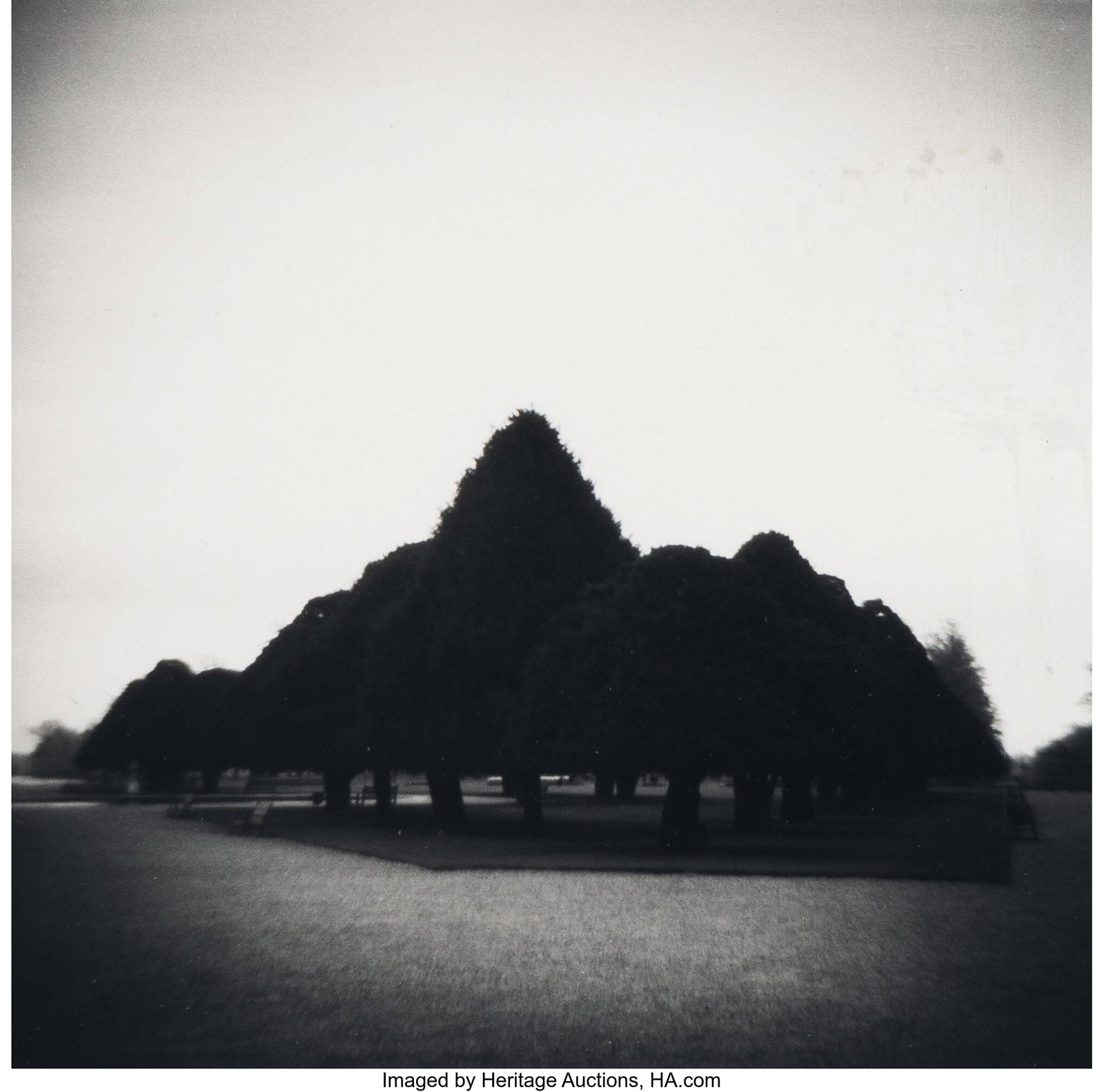 Michael McLaughlin (American, 20th Century) Unti: Michael McLaughlin (American, 20th Century) Untitled (Trees), 1996 Gelatin silver print 5-1/8 x 5-1/8 inches (13.0 x 13.0 cm) (imag