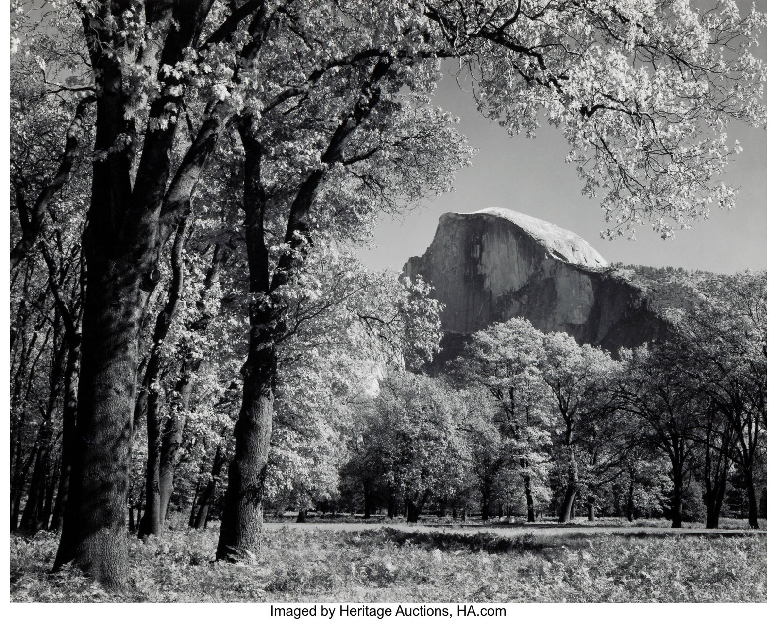 Ansel Adams (American, 1902-1984) Group of 5 pho: Ansel Adams (American, 1902-1984) Group of 5 photographs Gelatin silver prints, printed later by Alan Ross 7-1/2 x 9-1/4 inches (19.1 x 23.5 cm) a