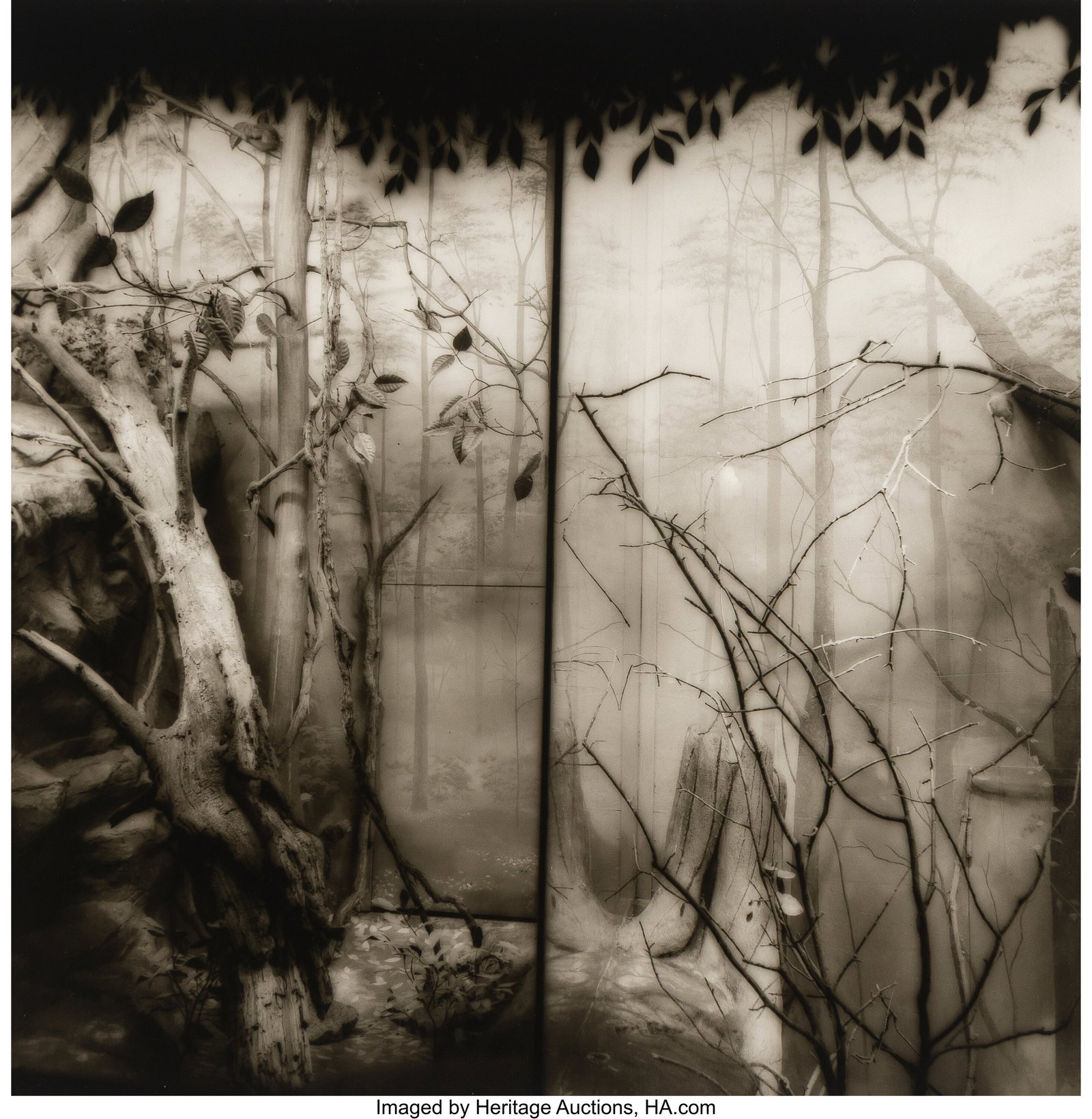 Lynn Geesaman (American, 1938-2020) Untitled (Br: Lynn Geesaman (American, 1938-2020) Untitled (Branches) (2 works), 1980s Gelatin silver prints 18-1/2 x 18-1/2 inches (47.0 x 47.0 