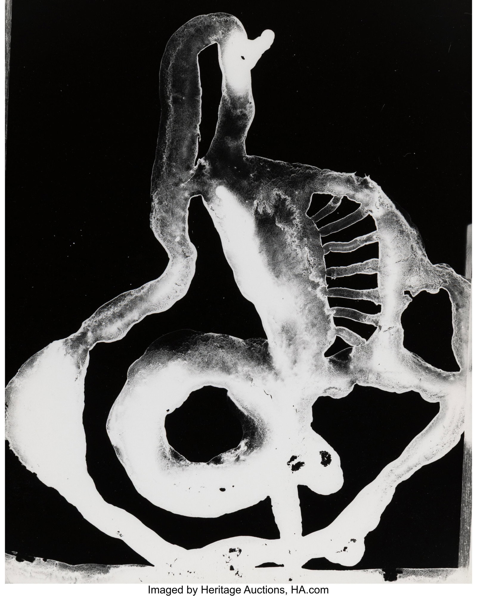 Gyorgy Kepes (American/Hungarian, 1906-2001) Unt: Gyorgy Kepes (American/Hungarian, 1906-2001) Untitled Photogram, 1938 Gelatin silver print, ferrotyped 14 x 11 inches (35.6 x 27.9 cm) (ima