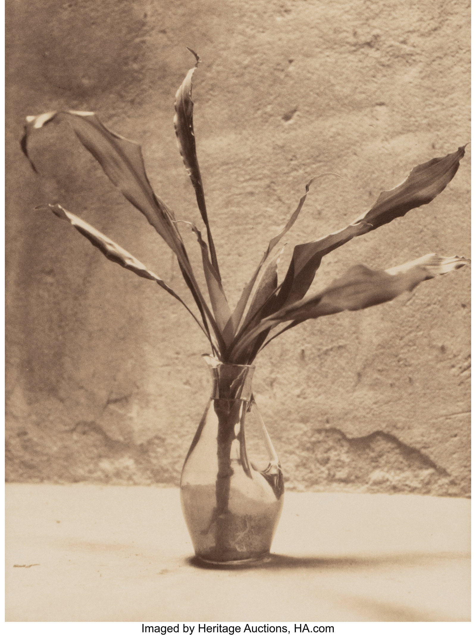 Jan Van Leeuwen (Dutch, b. 1932) Untitled (Vase): Jan Van Leeuwen (Dutch, b. 1932) Untitled (Vase), 1998 Kallitype 16 x 11-5/8 inches (40.6 x 29.5 cm) (image) 19 x 15-1/