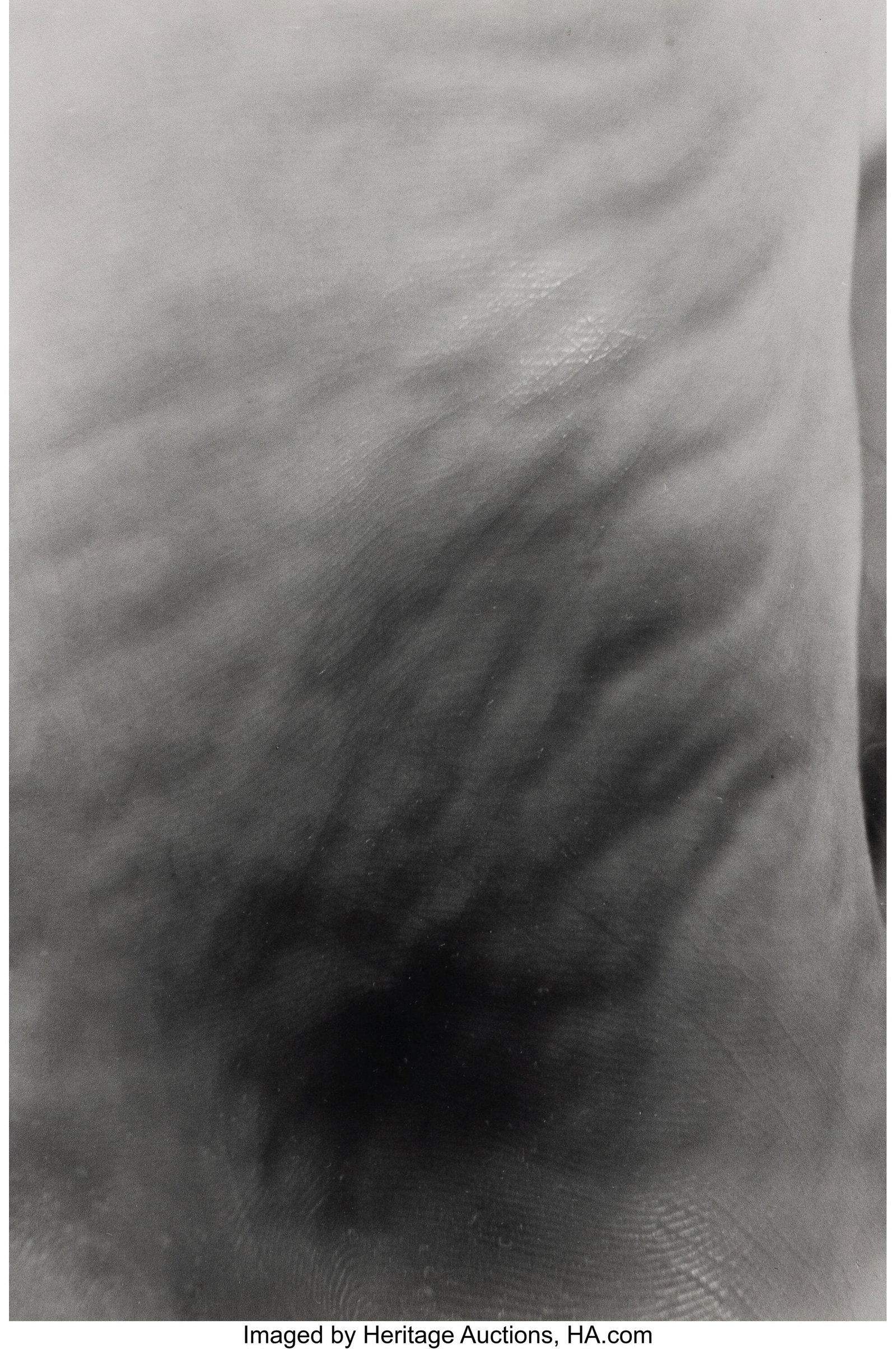 Gary Schneider (English/South African, b. 1954) : Gary Schneider (English/South African, b. 1954) Self Portrait, 1975 Gelatin silver print 6-1/4 x 4 inches (15.9 x 10.2 cm) (image&rpar