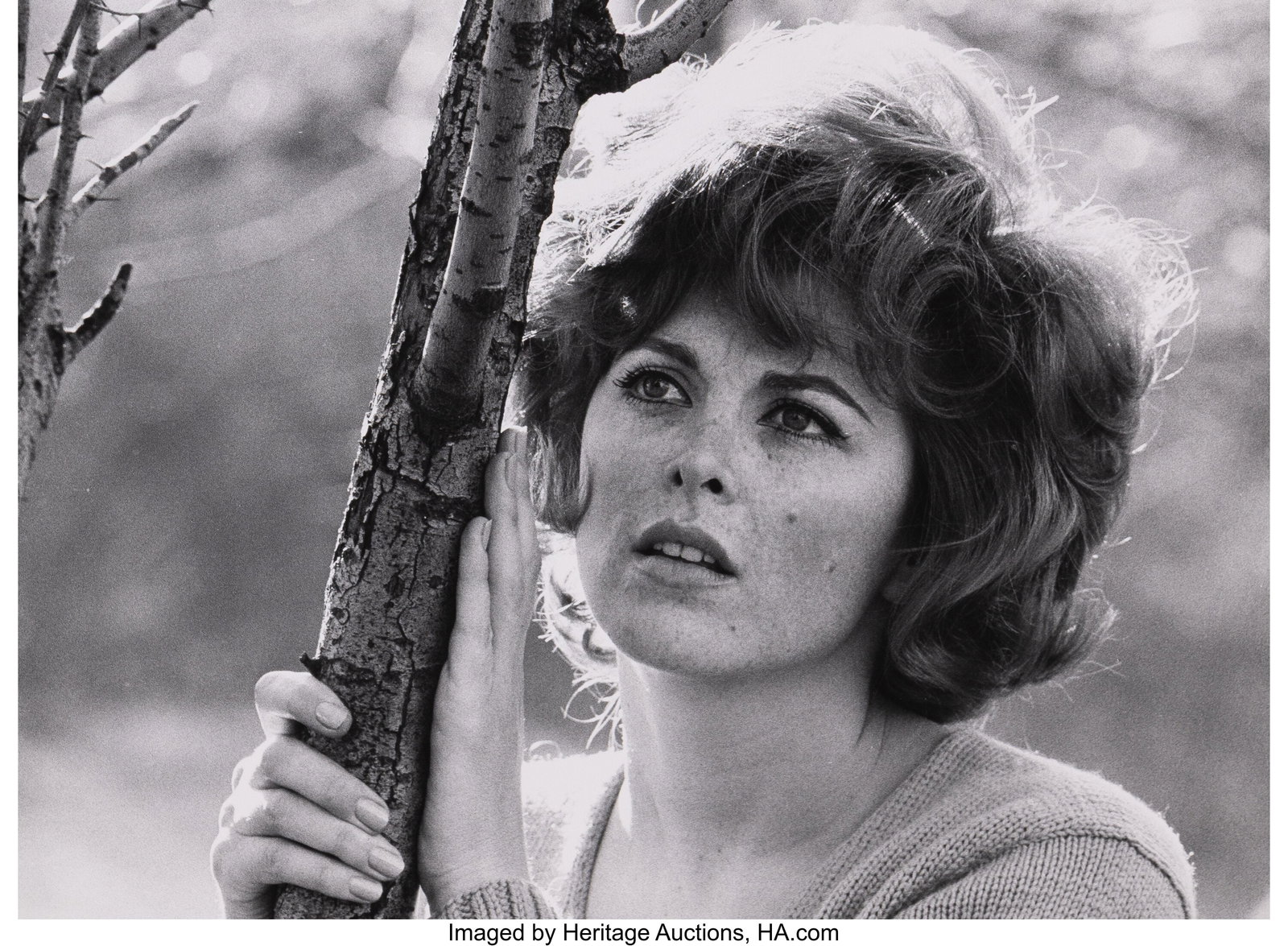 David Gahr (American, 1922-2008) Tina Louise in : David Gahr (American, 1922-2008) Tina Louise in New York City (2 works), 1970 Gelatin silver prints 11 x 14 inches (27.9 x 35.6 cm) (sheets