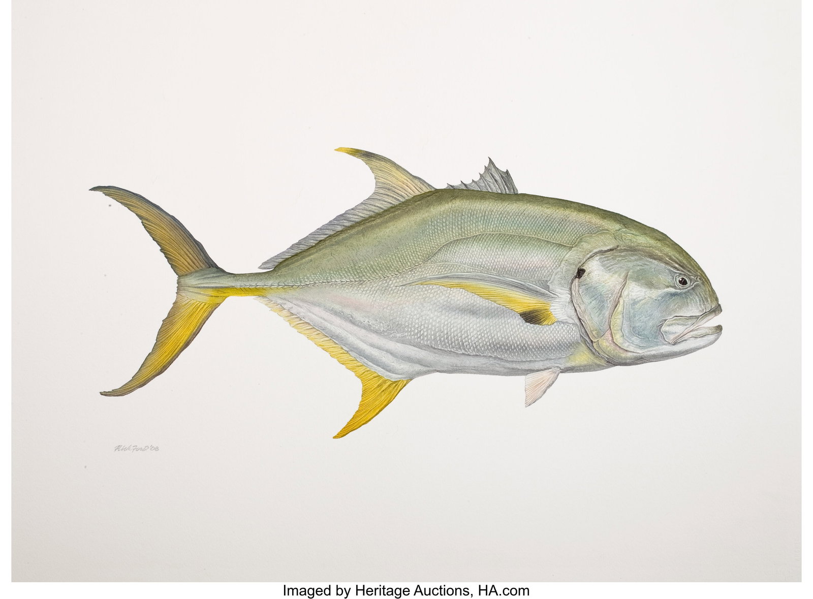 Flick Ford (American, b. 1954) Crevalle Jack, 20 (1 of 3)