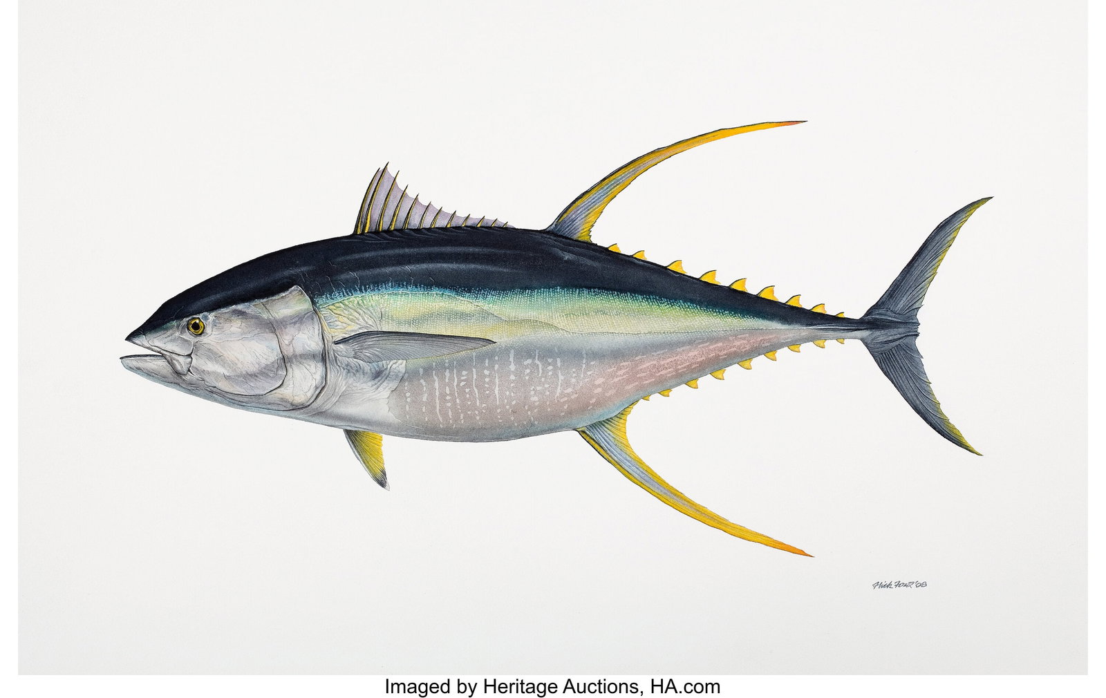 Flick Ford (American, b. 1954) World Record Yell: Flick Ford (American, b. 1954) World Record Yellow Fin Tuna, 2008 Watercolor on paper 20.5 x 30.5 in. Signed and dated lower right This is the exact
