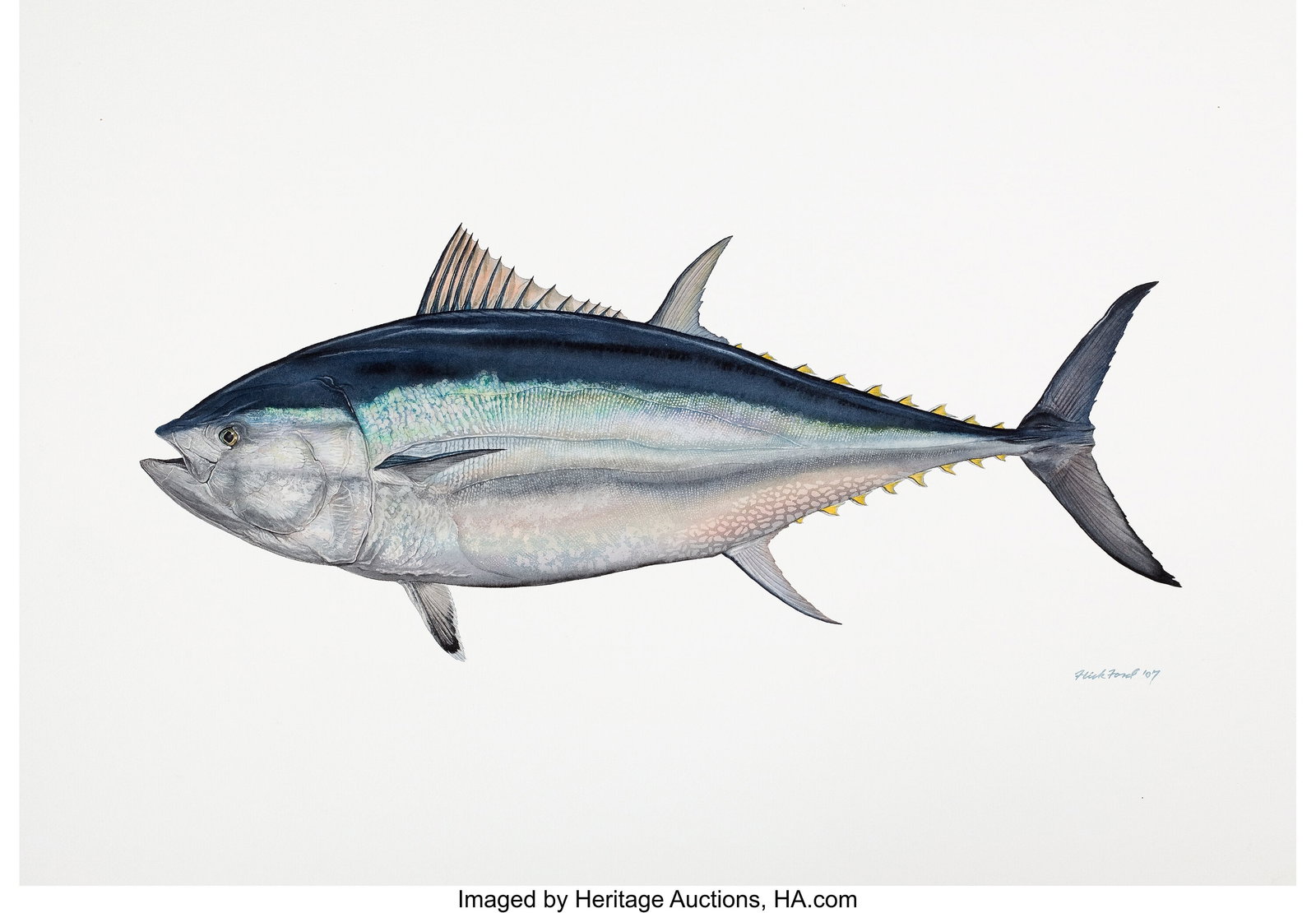 Flick Ford (American, b. 1954) World Record Blue: Flick Ford (American, b. 1954) World Record Blue Fin Tuna, 2007 Watercolor on paper 22.5 x 30.5 in. Signed and dated lower right This is the exact dep