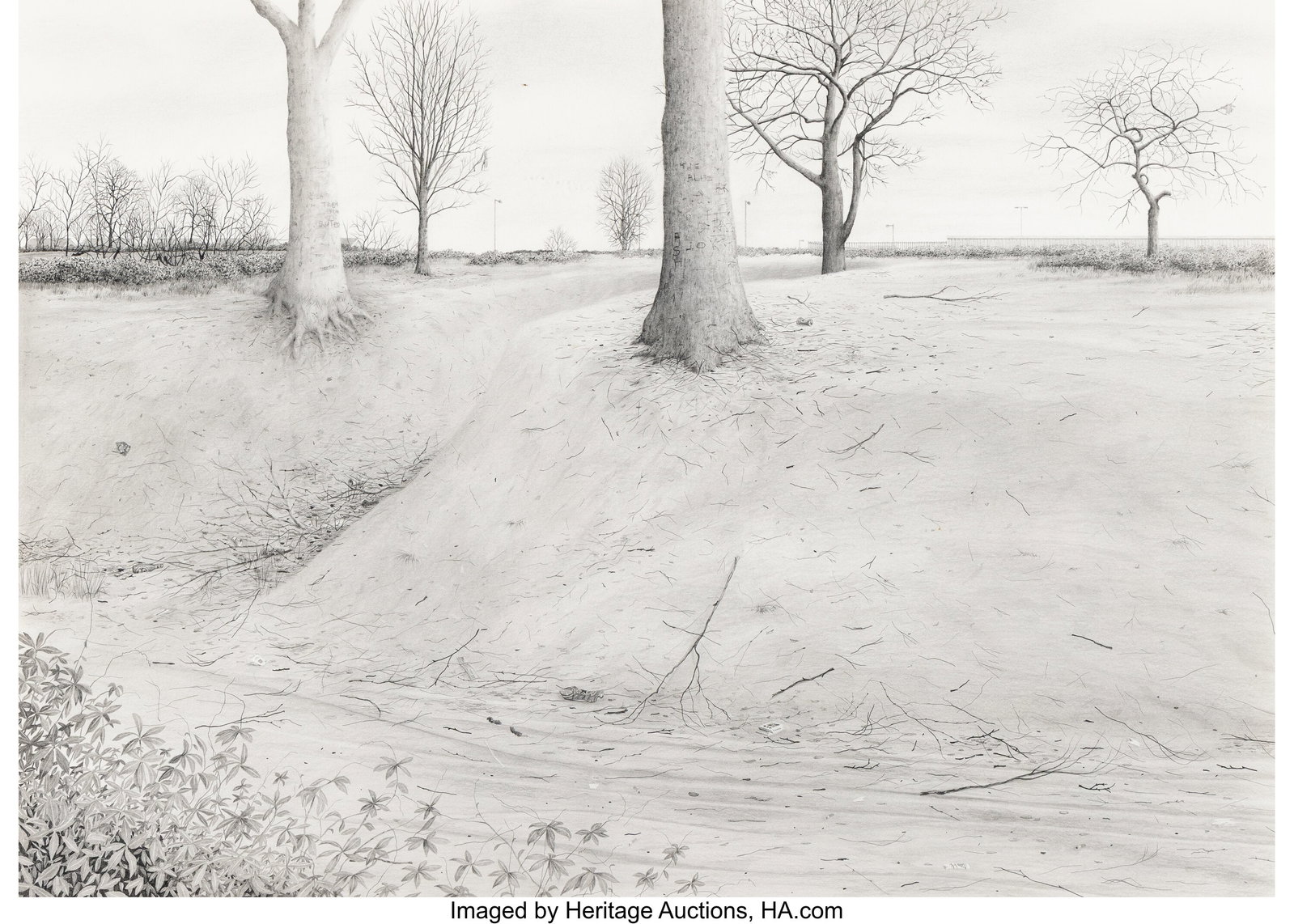 David Rayson (British, b. 1966) Dandows Wood: Th: David Rayson (British, b. 1966) Dandows Wood: The Lions Den, 1998 Pencil on paper wove paper 19-3/4 x 30-1/2 inches (50.2 x 77.5 cm) 