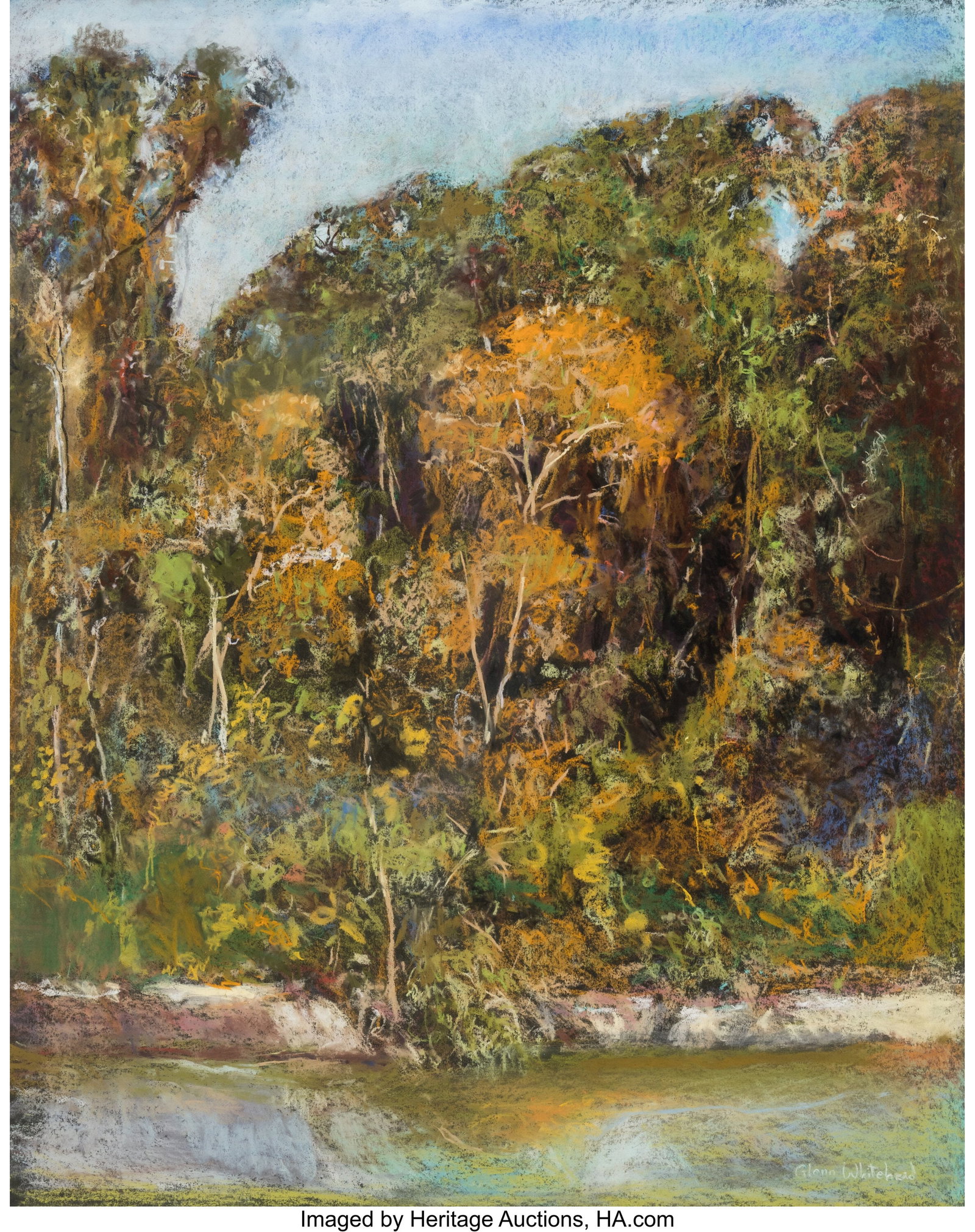 Glenn Whitehead (American, b. 1940) Trees and Vi: Glenn Whitehead (American, b. 1940) Trees and Vines on Buffalo Bayou Pastel on paper 38-1/2 x 30-1/2 inches (97.8 x 77.5 cm) (sight) Si