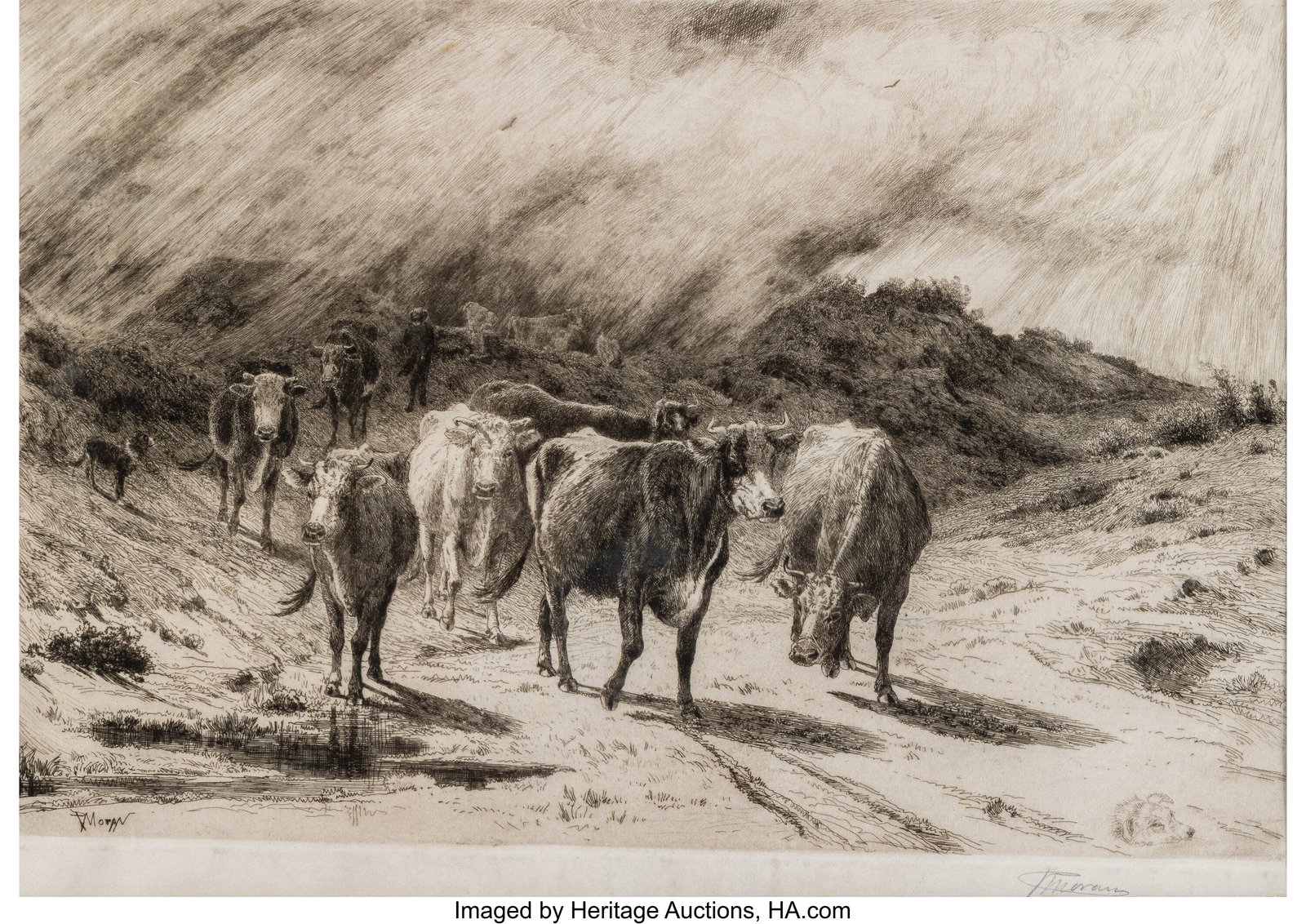 Peter Moran (American, 1841-1914) The Approachin: Peter Moran (American, 1841-1914) The Approaching Storm Etching on paper 12-1/2 x 18 inches (31.8 x 45.7 cm) Signed in pencil lower right Signed in the plat