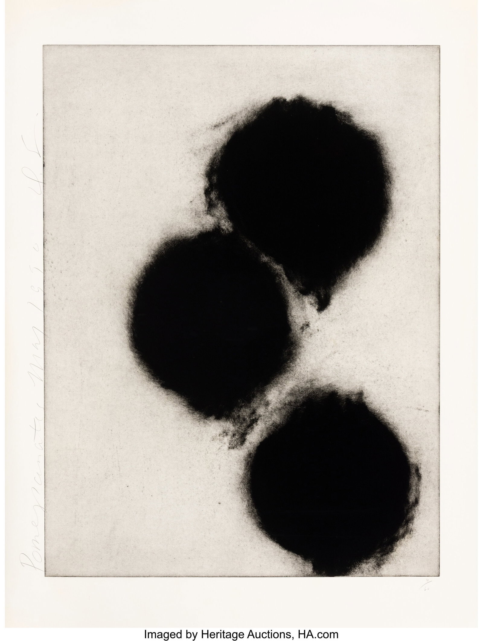 Donald K. Sultan (b. 1951) Pomegranate I, from P (1 of 1)
