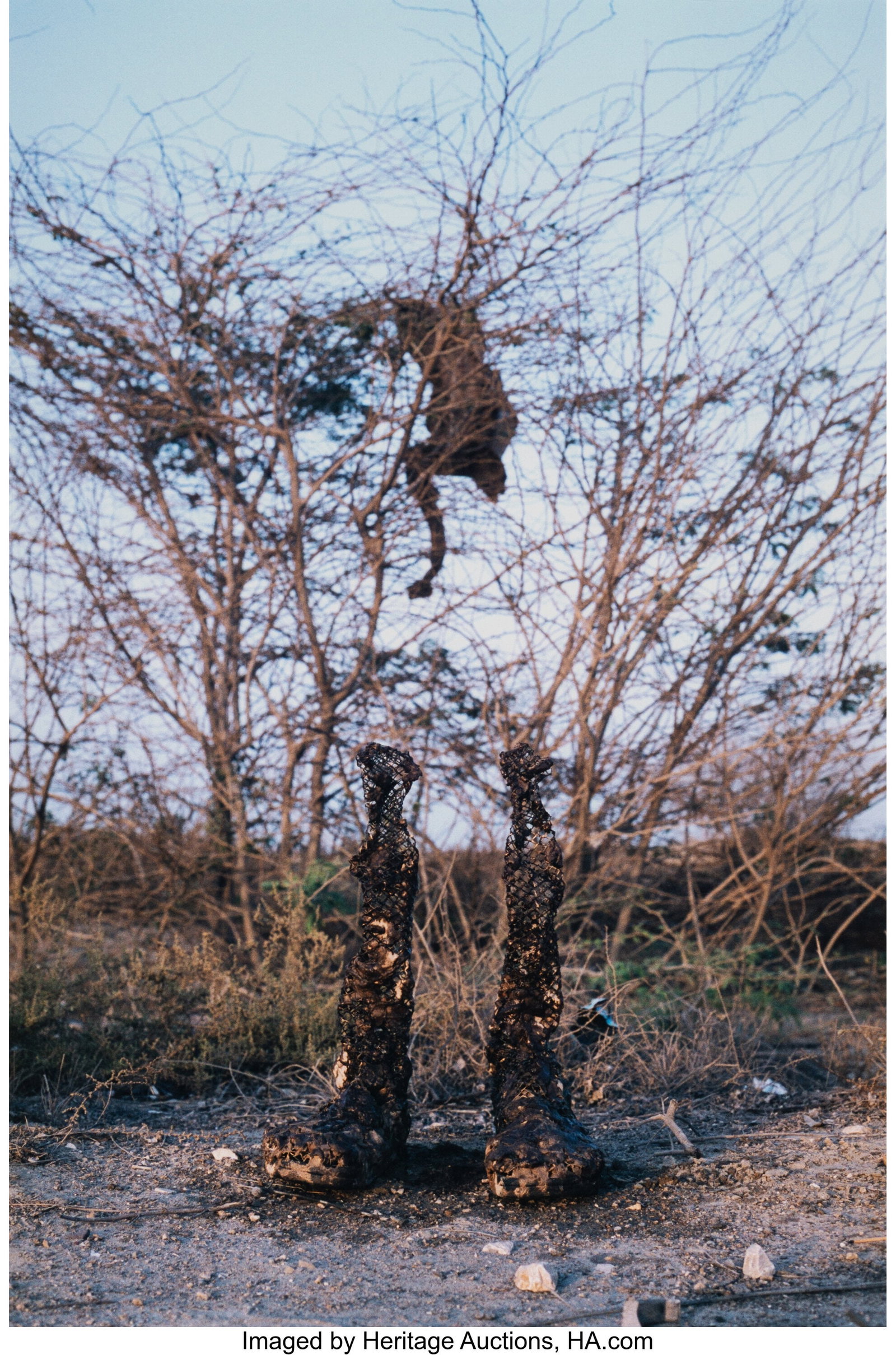 Huma Bhabha (b. 1962) Untitled, 2005 Digital pig (1 of 2)