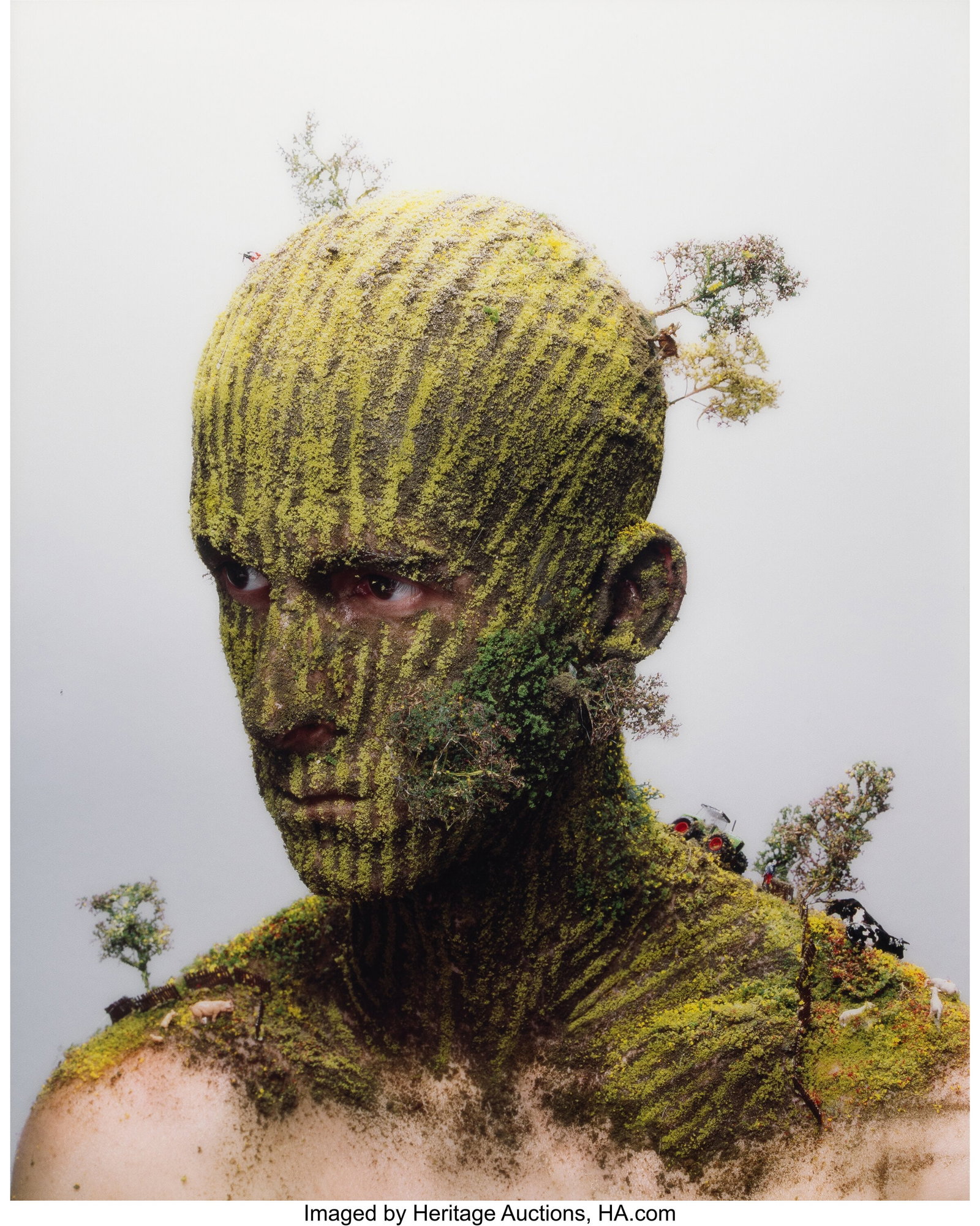 Levi van Veluw (b. 1985) Landscape II, 2008 Digi (1 of 1)