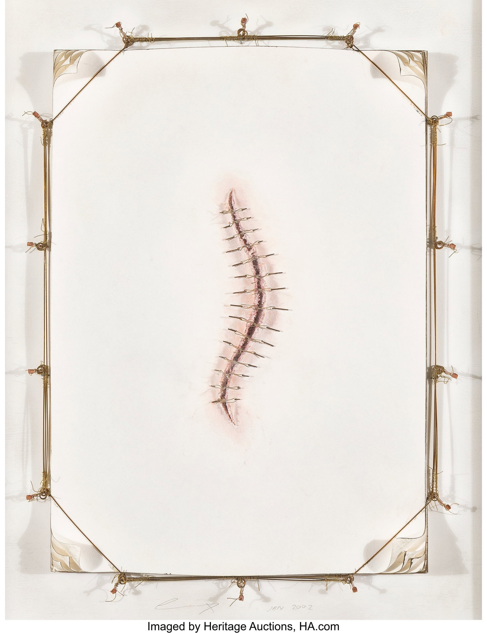 Cathy De Monchaux (b. 1960) Wound Drawing #3, 20 (1 of 3)