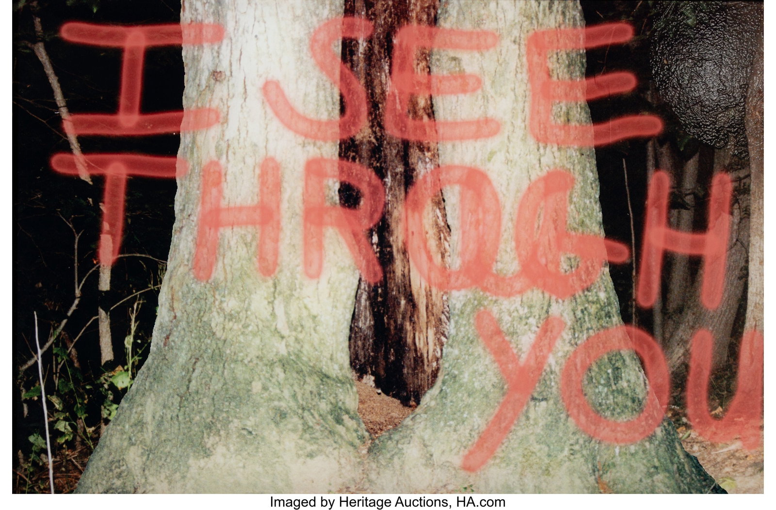 Sterling Ruby (b. 1972) I See Through You, 2005 : Sterling Ruby (b. 1972) I See Through You, 2005 Digital pigment print 21-3/4 x 33-1/4 inches (55.2 x 84.5 cm) (sheet/image) PROVENA
