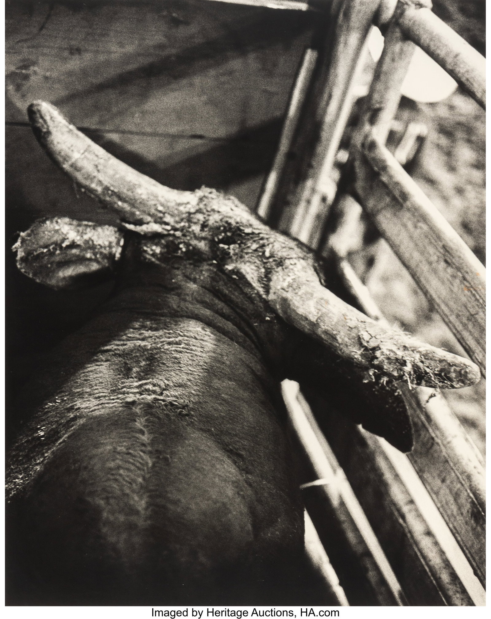Jill Mathis (b. 1964) Untitled, from Rodeo Serie: Jill Mathis (b. 1964) Untitled, from Rodeo Series, 1992 Silver gelatin print 47 x 36 inches (119.4 x 91.4 cm) (image) 63 x 48 inches &lpa