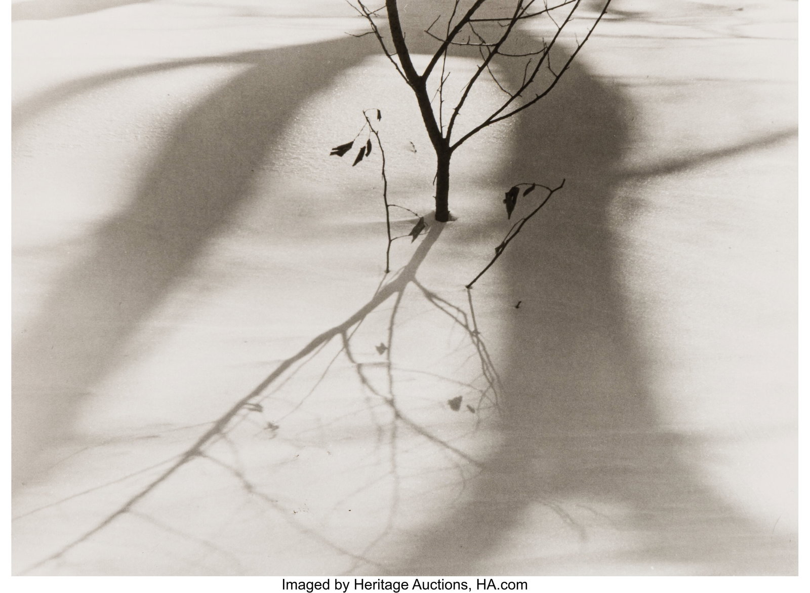 André Kertész (American/Hungarian, 1894-1985)  (1 of 3)