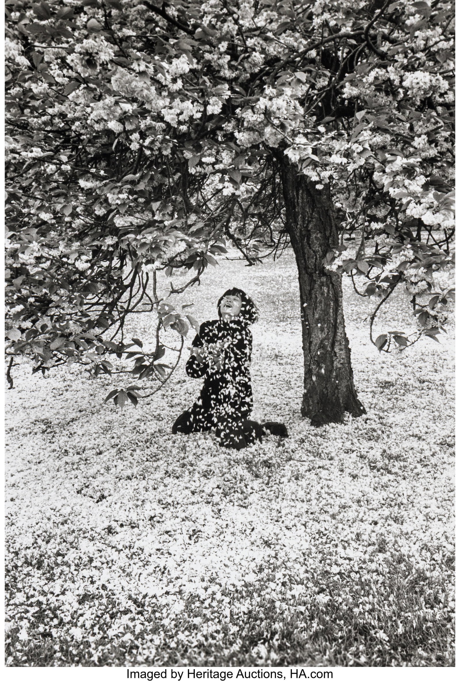 Edouard Boubat (French, 1923-1999) Cerisier en F: Edouard Boubat (French, 1923-1999) Cerisier en Fleur, 1983 Gelatin silver print 14 x 9-1/2 inches (35.6 x 24.1 cm) (image) 16 x 12 inches &l