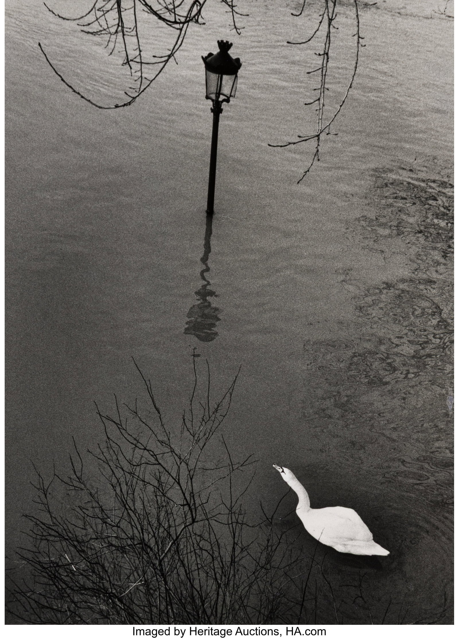 André Kertész (American/Hungarian, 1894-1985) : André Kertész (American/Hungarian, 1894-1985) Paris (Swan on the Flooded Seine), 1982 Gelatin silver print, printed later 9-5/8 x 6-7/8 