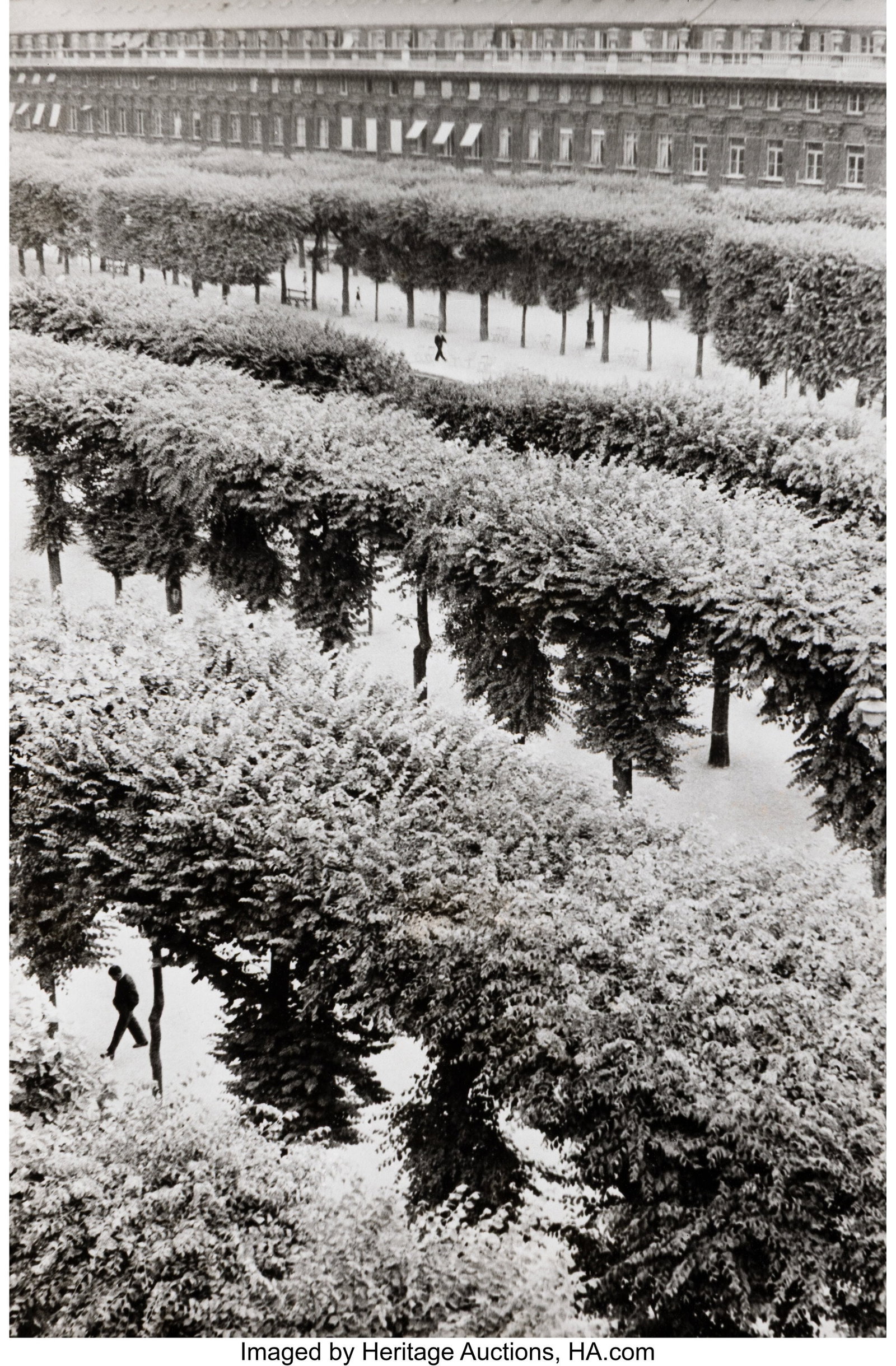 Henri Cartier-Bresson (French, 1908-2004) Jardin: Henri Cartier-Bresson (French, 1908-2004) Jardin du Palais Royal, 1959 Gelatin silver print, printed later 11-1/2 x 8 inches (29.2 x 20.3 cm) &l